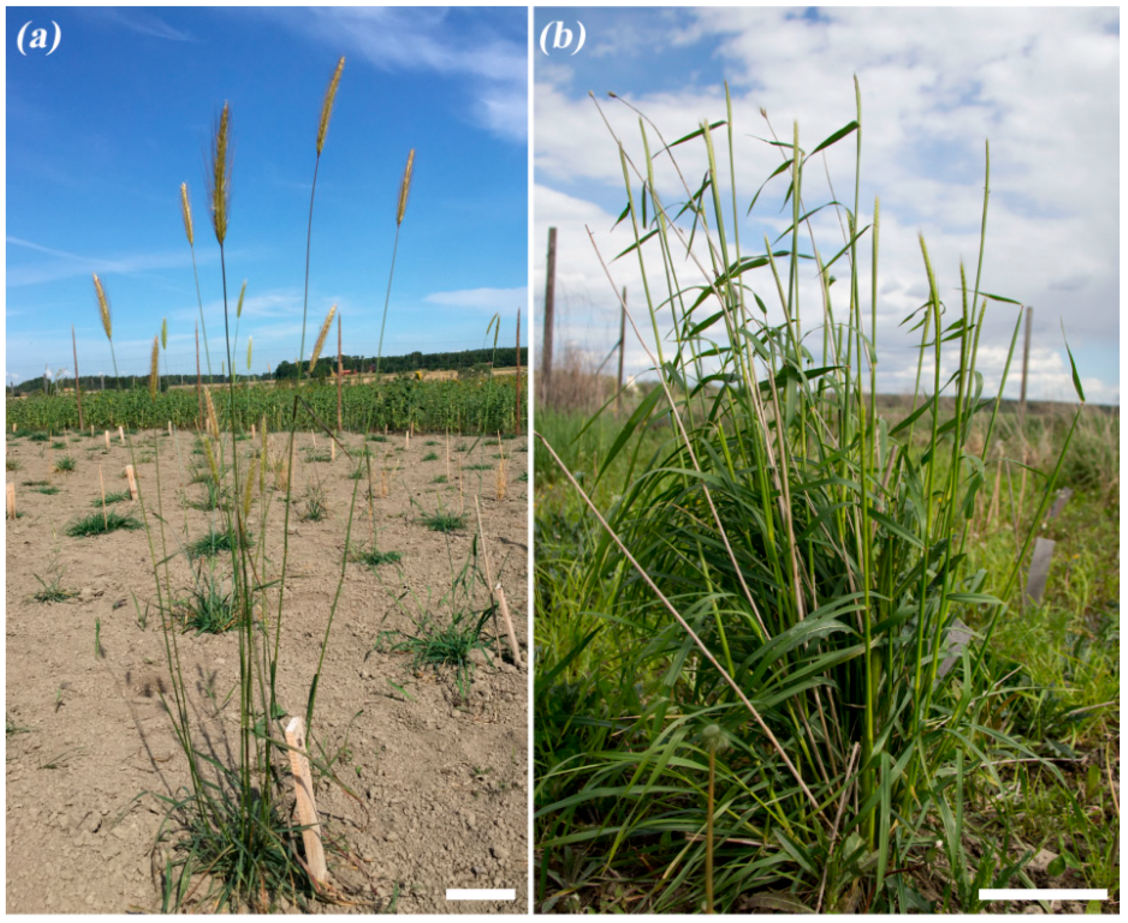 Sustainability 10 01969 g003a