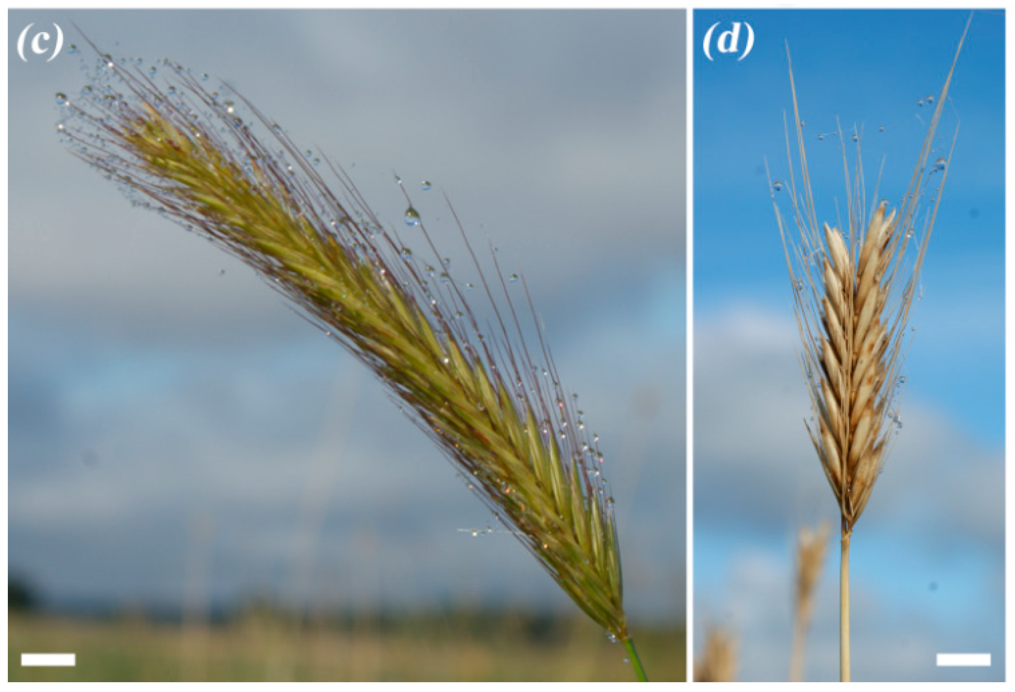 Sustainability 10 01969 g003b