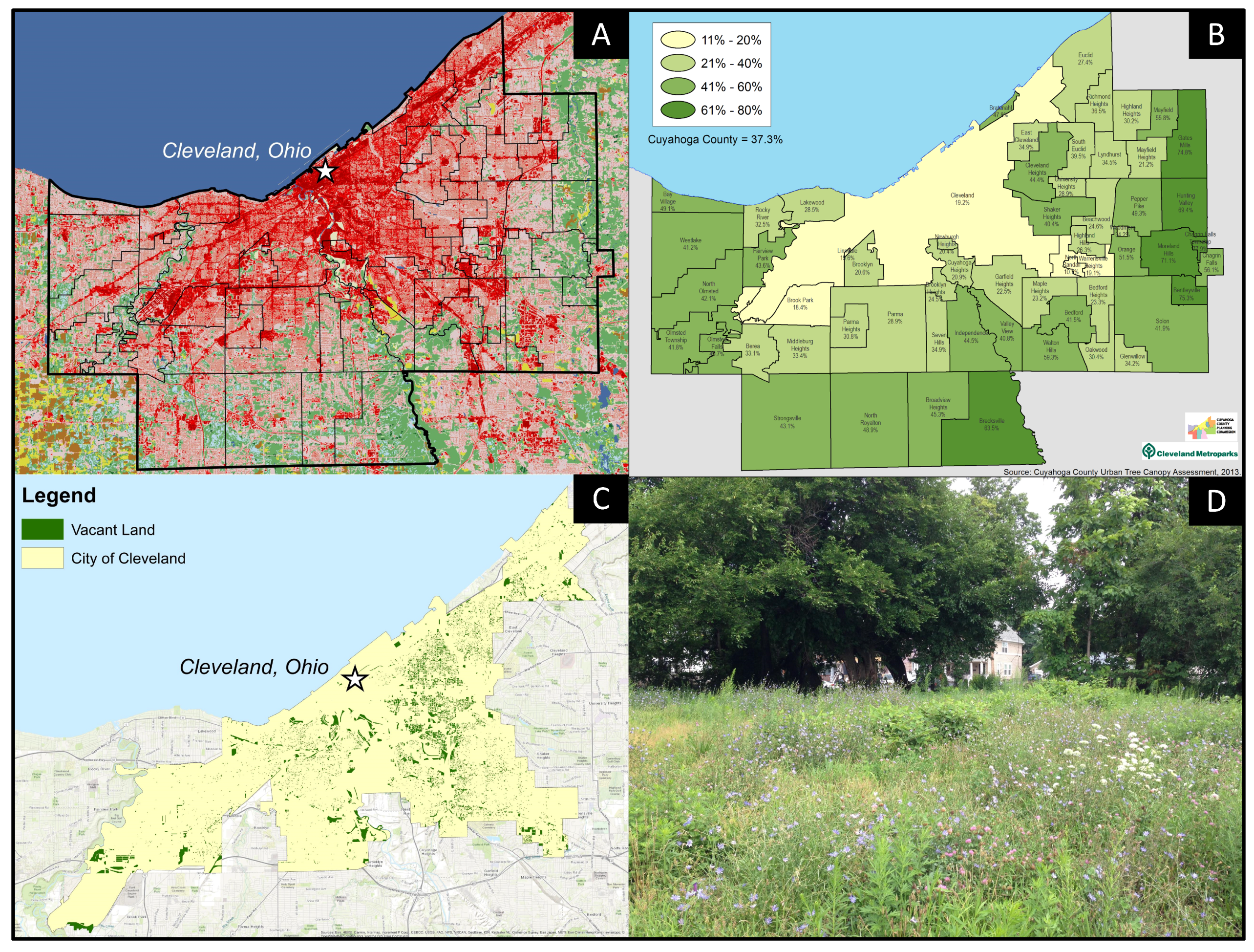 Sustainability Free Full Text Asset Or Liability Ecological