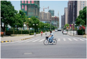 Sustainability 10 02200 i011 Sustainability 10 02200 i011