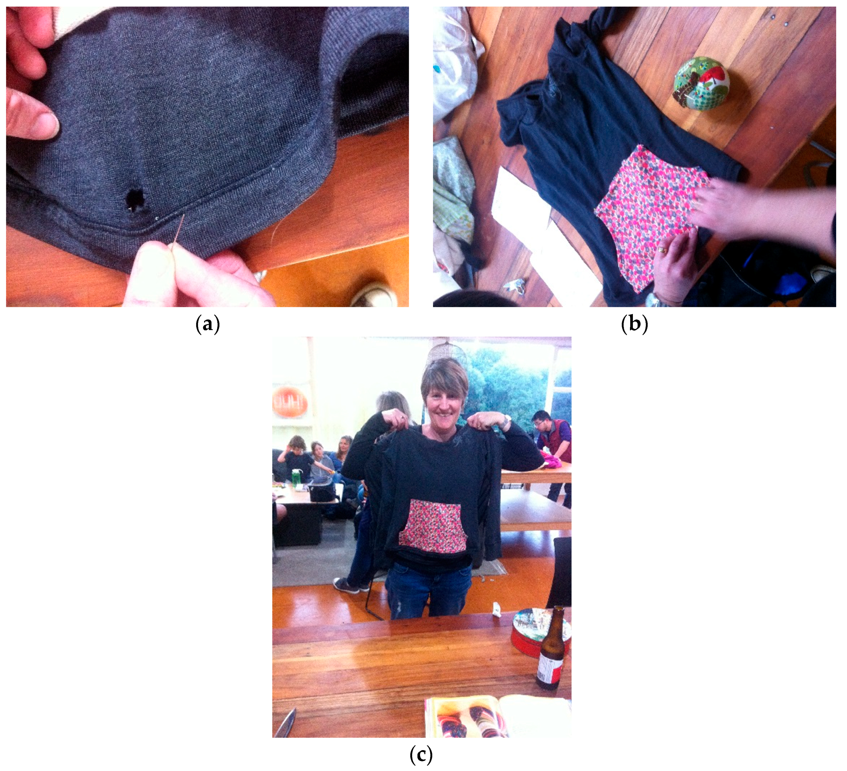 Sustainability 10 02218 g005