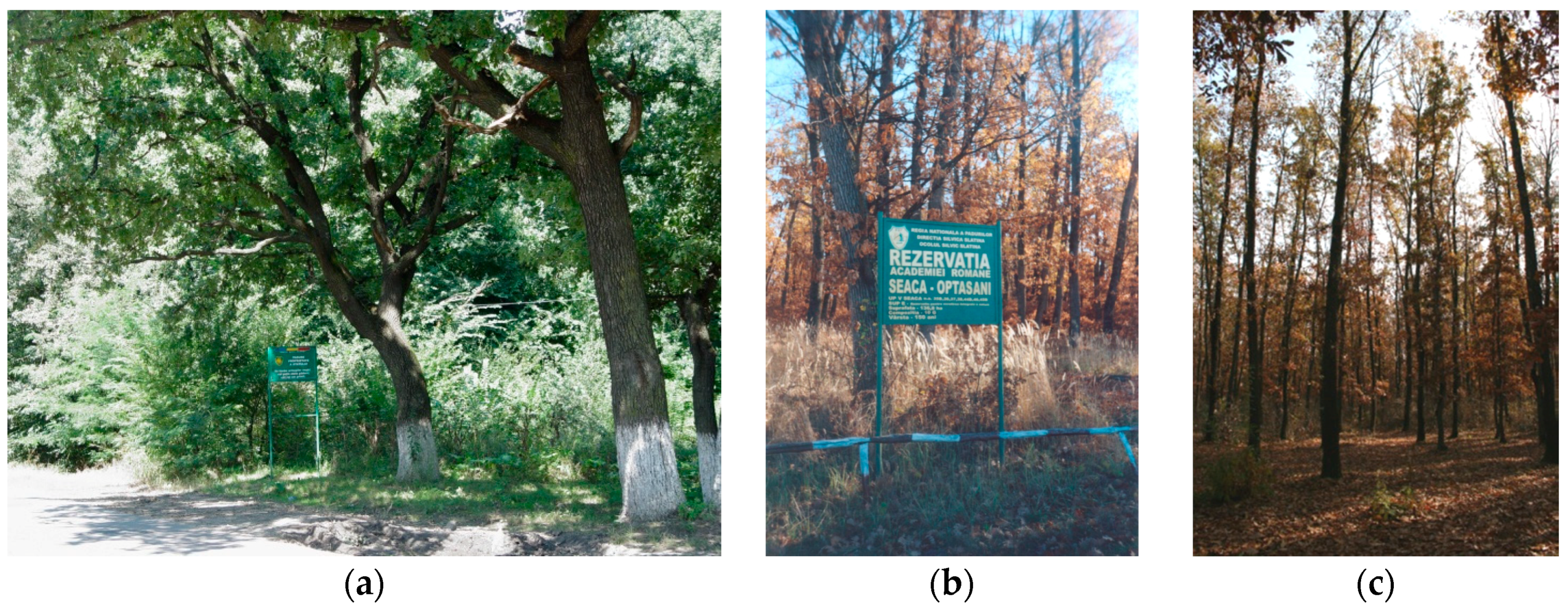 Sustainability 10 02282 g008 Sustainability 10 02282 g008