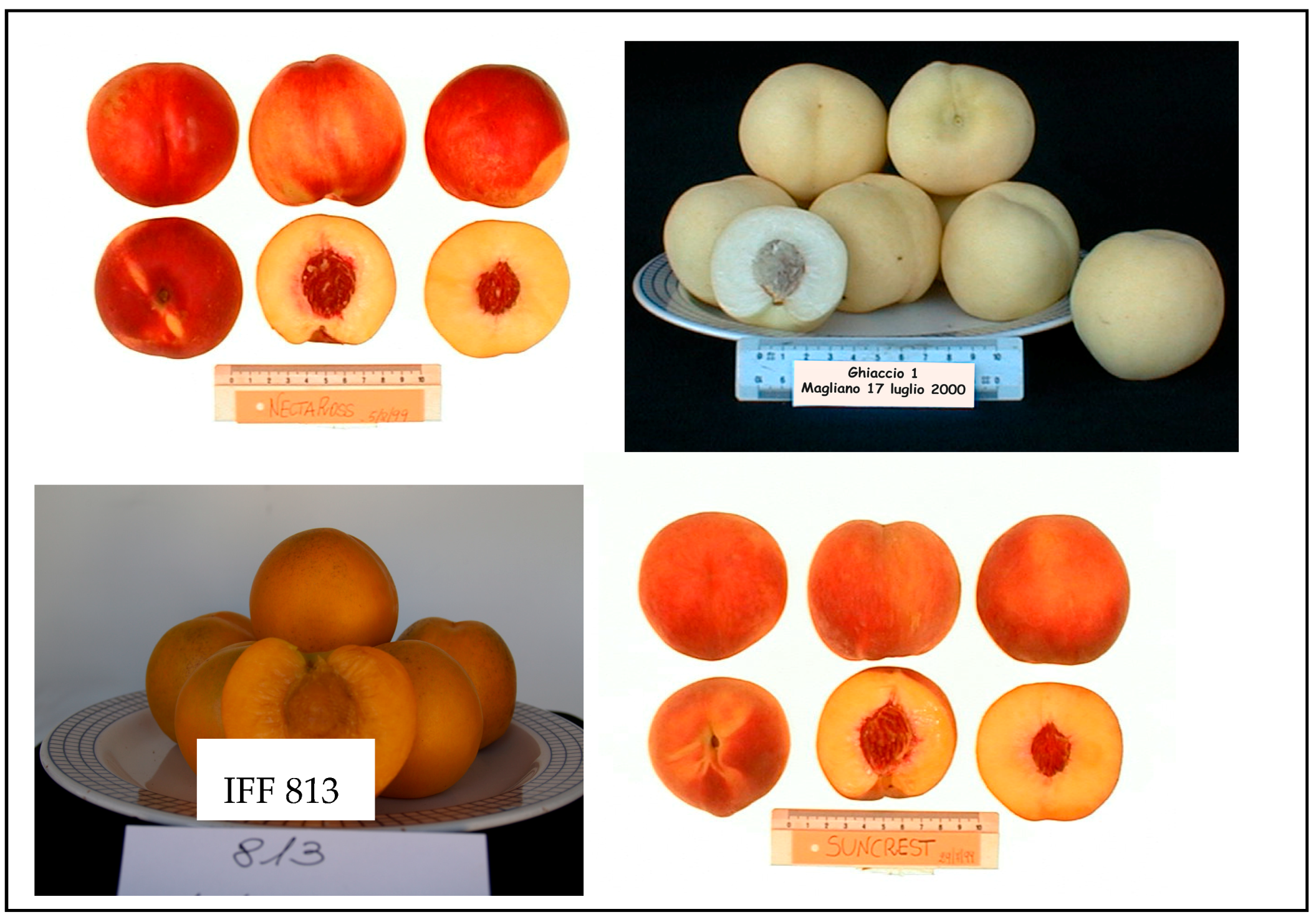 Sustainability 10 02291 g001 550