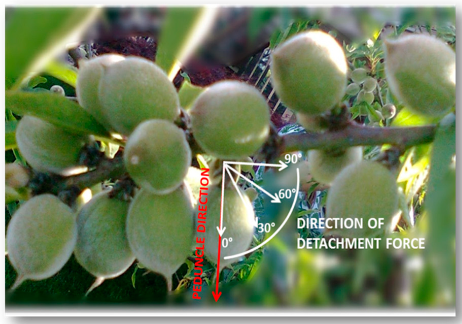 Sustainability 10 02291 g002 550