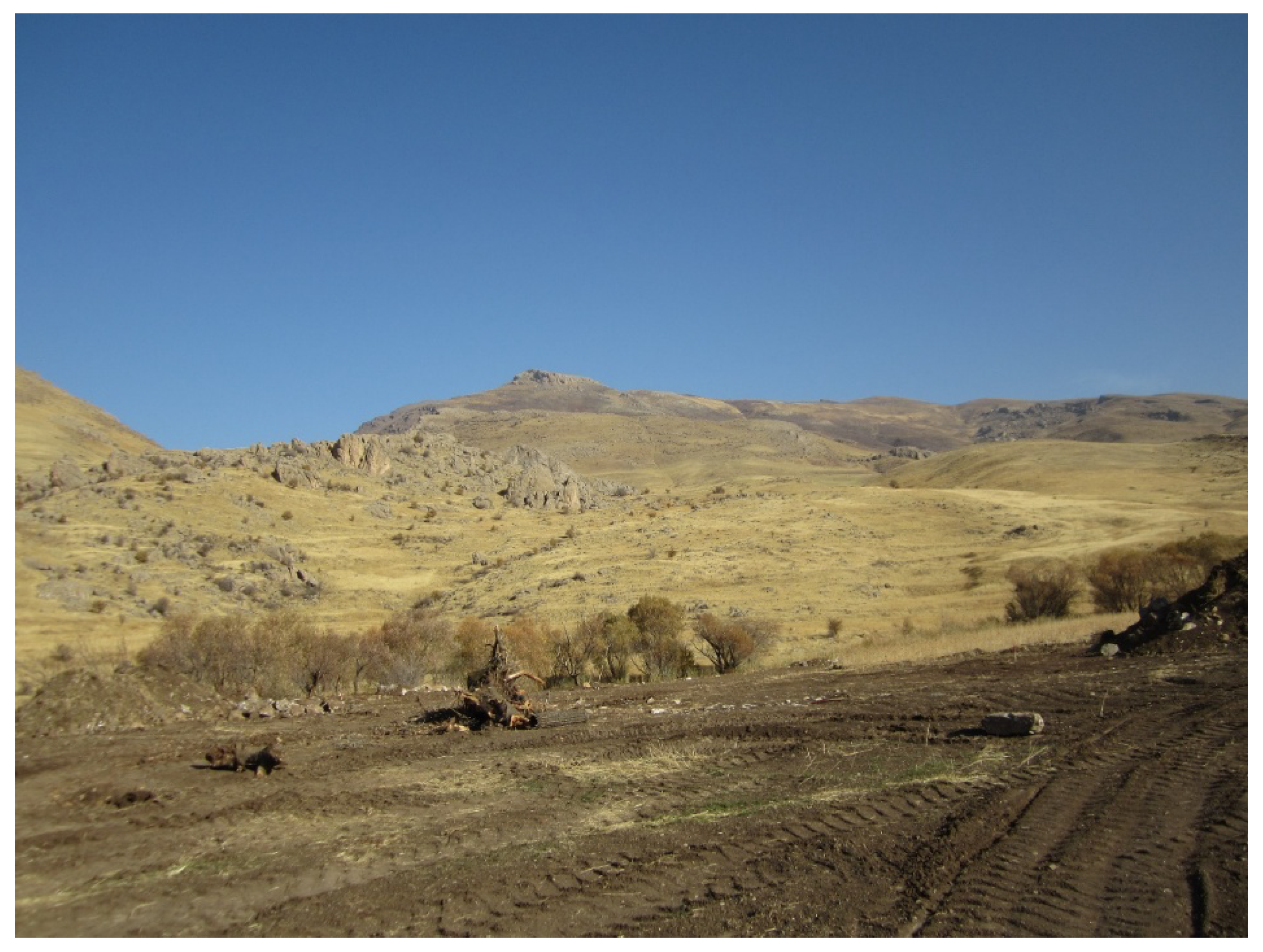 Sustainability 10 02422 g005