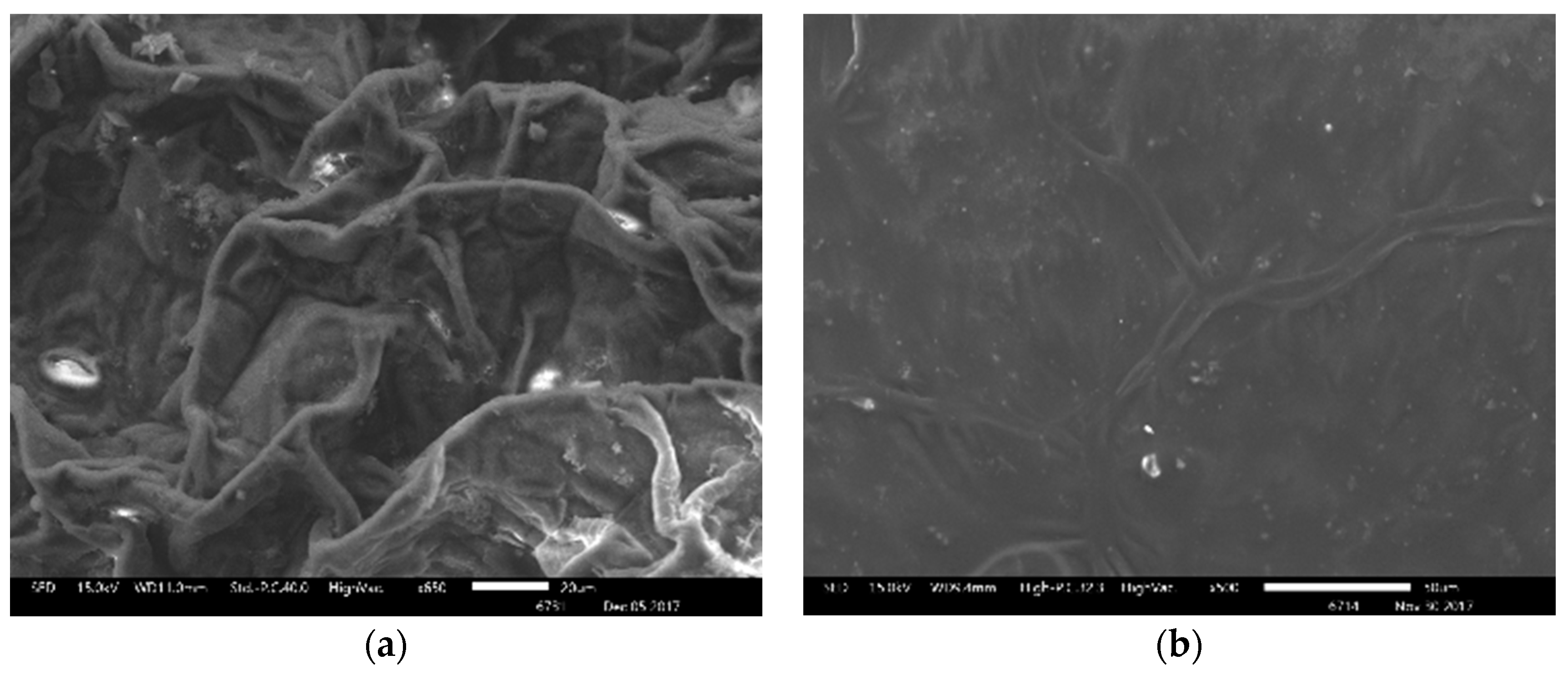 Sustainability 10 02431 g007