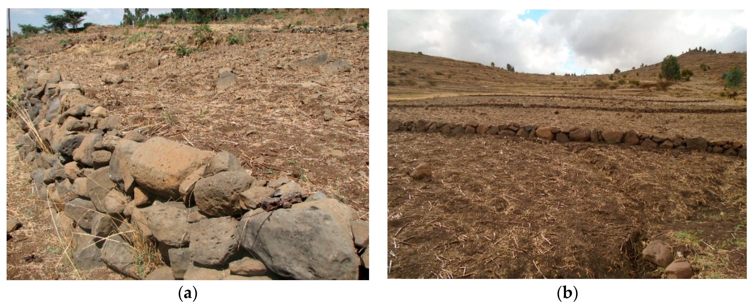 Sustainability 10 02666 g001 Sustainability 10 02666 g001