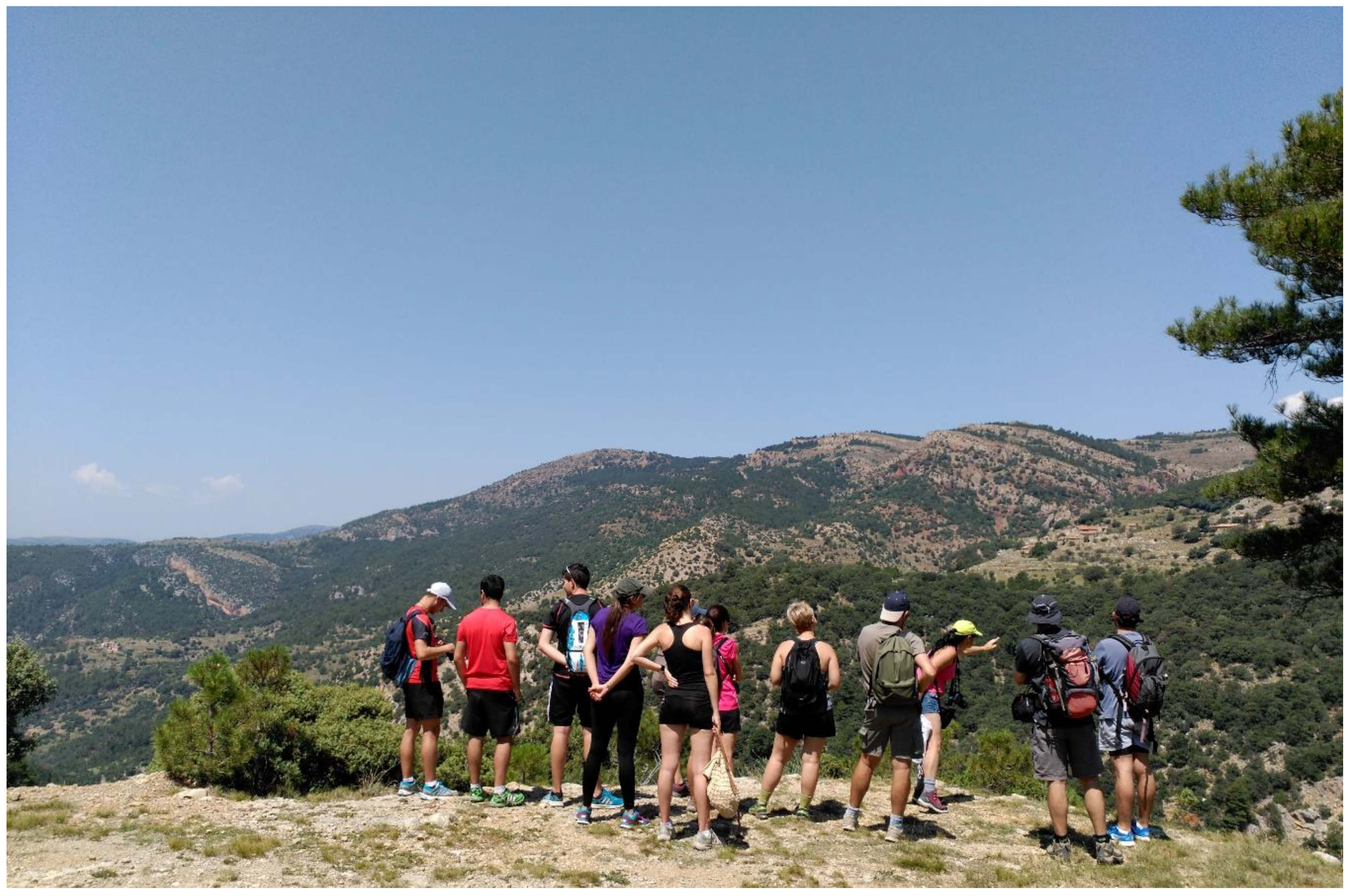 Sustainability 10 02712 g012