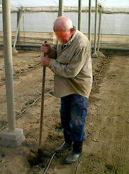 Sustainability 10 02729 i001