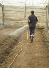 Sustainability 10 02729 i003