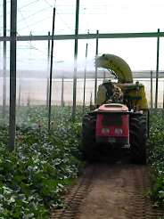 Sustainability 10 02729 i004