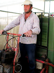 Sustainability 10 02729 i009