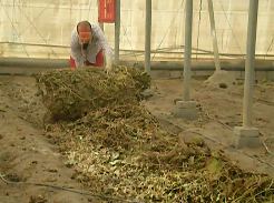 Sustainability 10 02729 i010