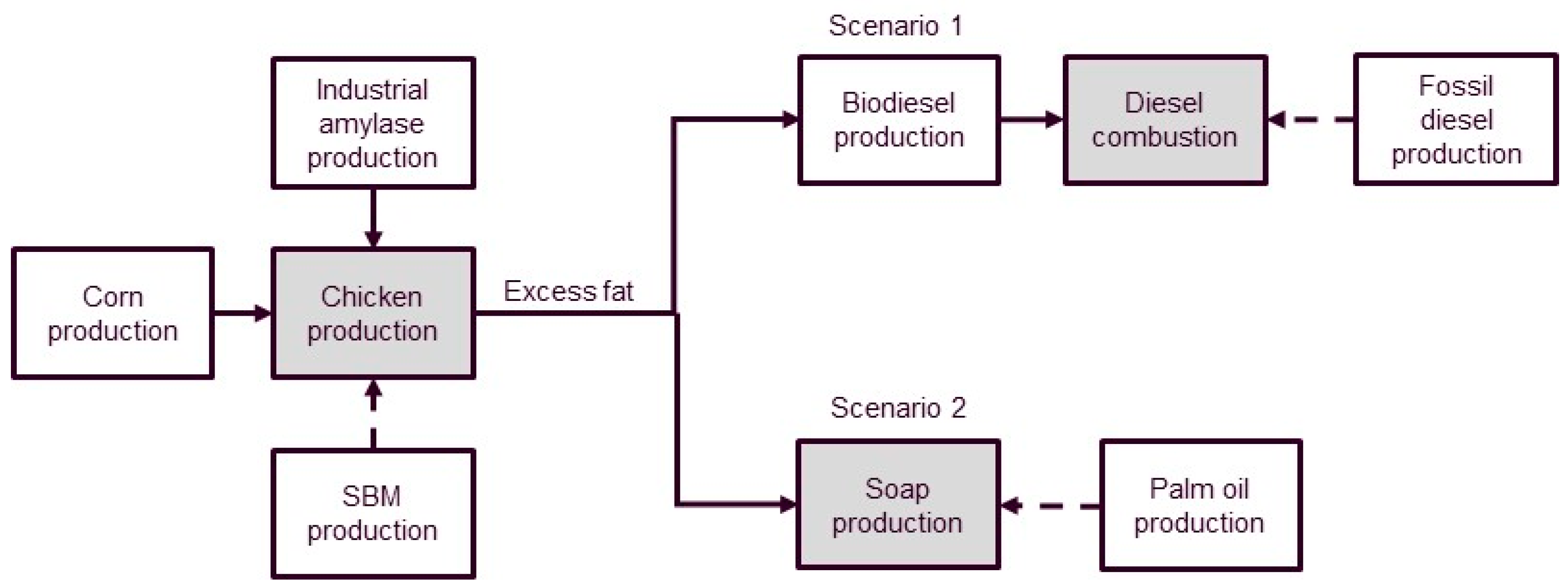 Flow Chart Of Amylase Production