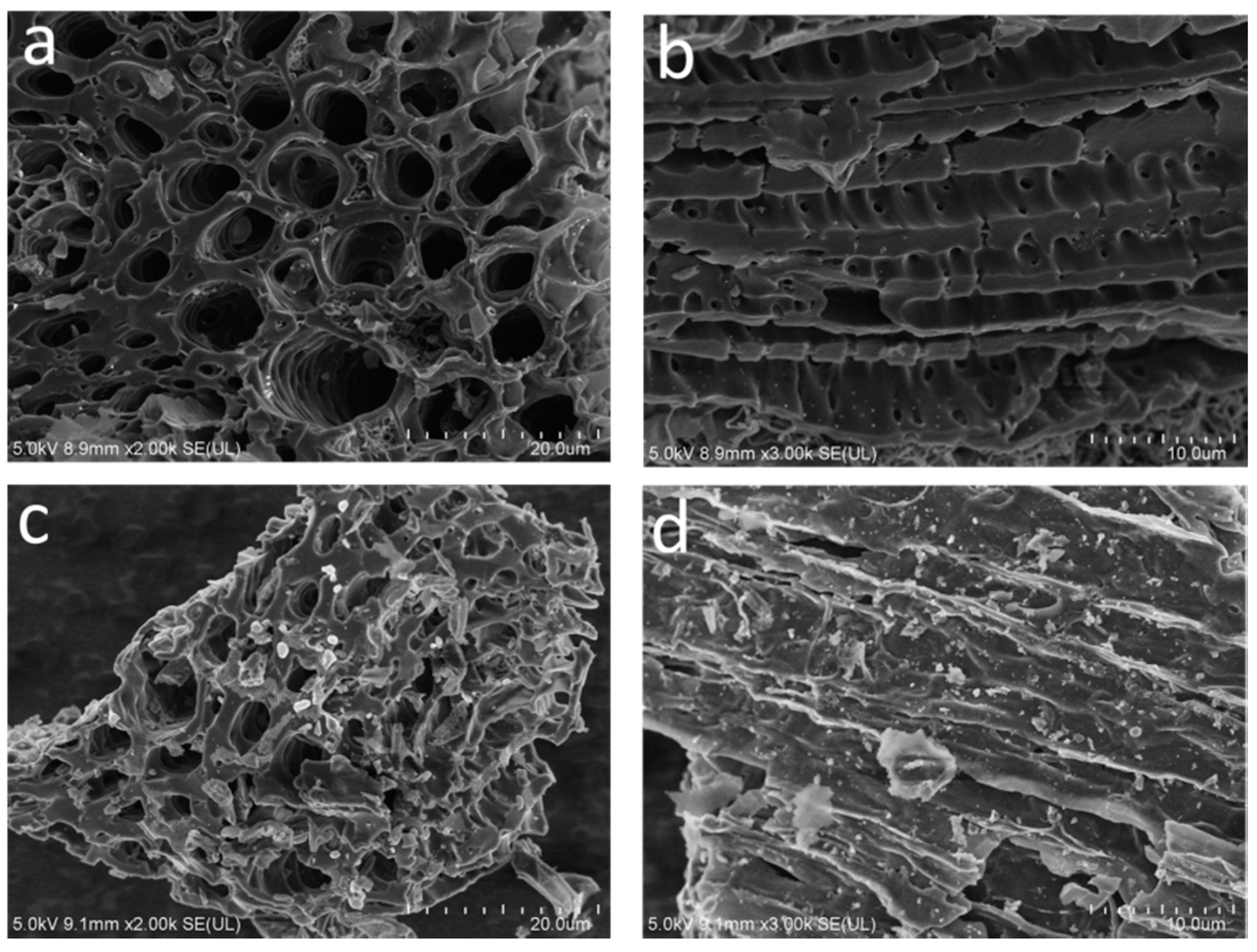 Sustainability 10 02740 g004 550