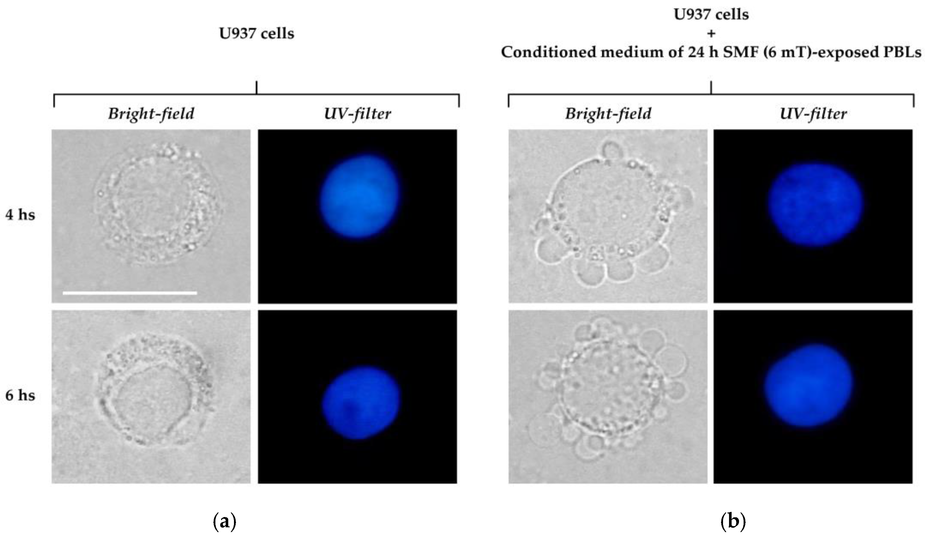 Sustainability 10 02776 g002