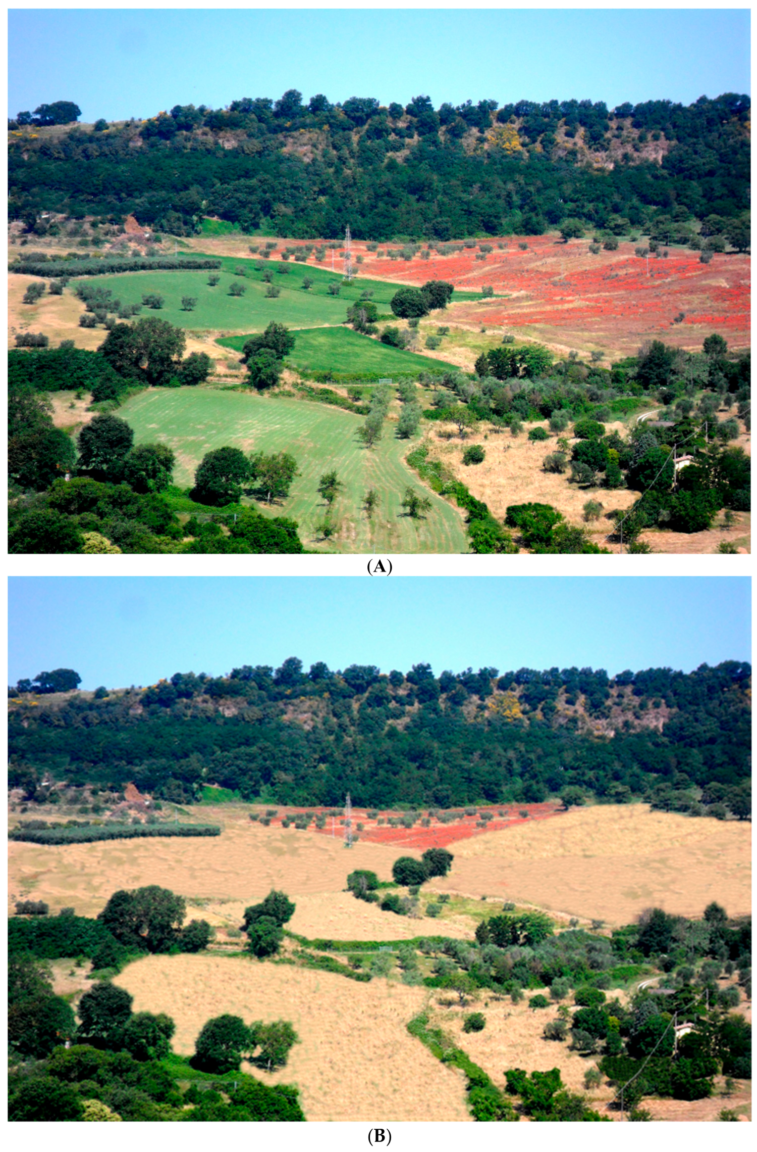 Sustainability 10 02910 g002