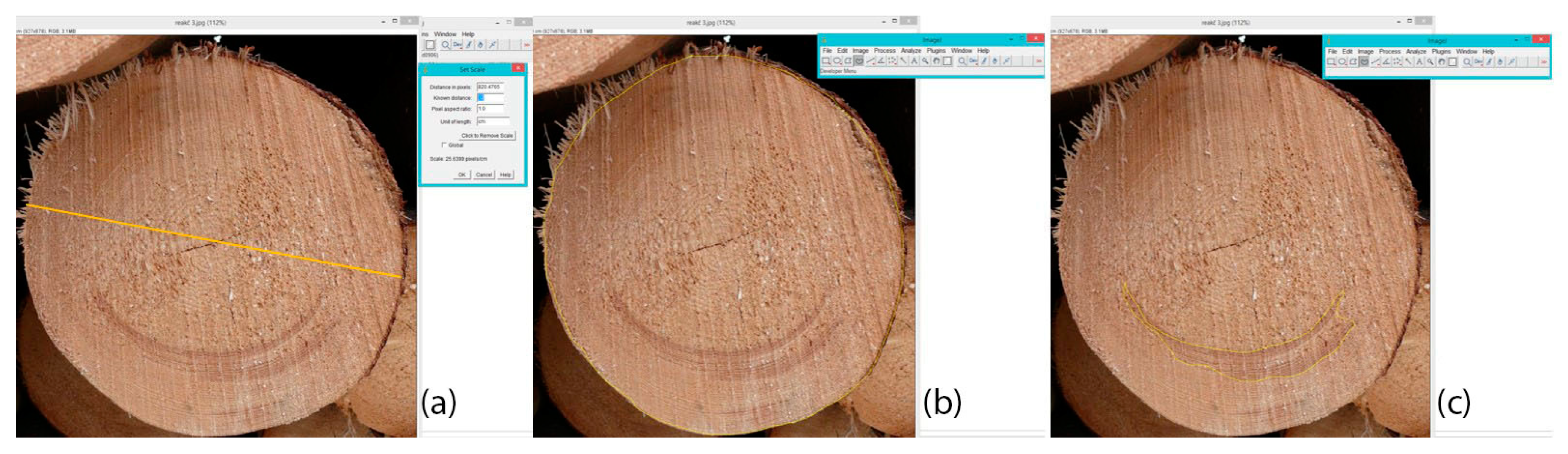 Sustainability 10 02984 g001 Sustainability 10 02984 g001