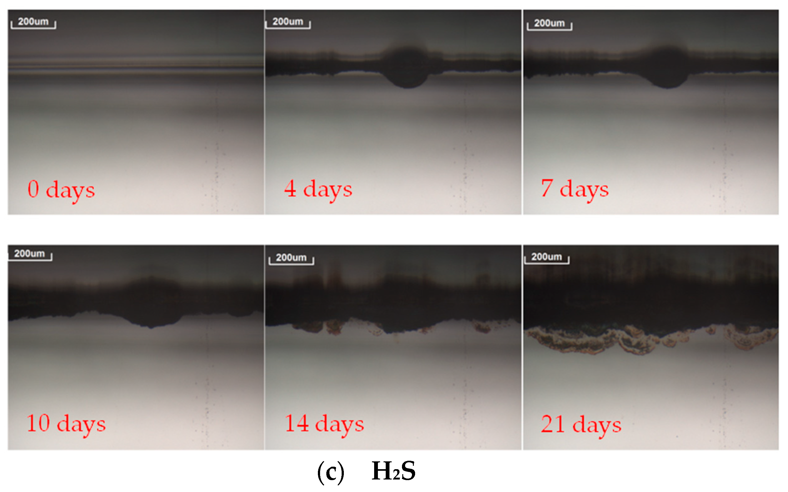 Sustainability 10 03008 g005b Sustainability 10 03008 g005b