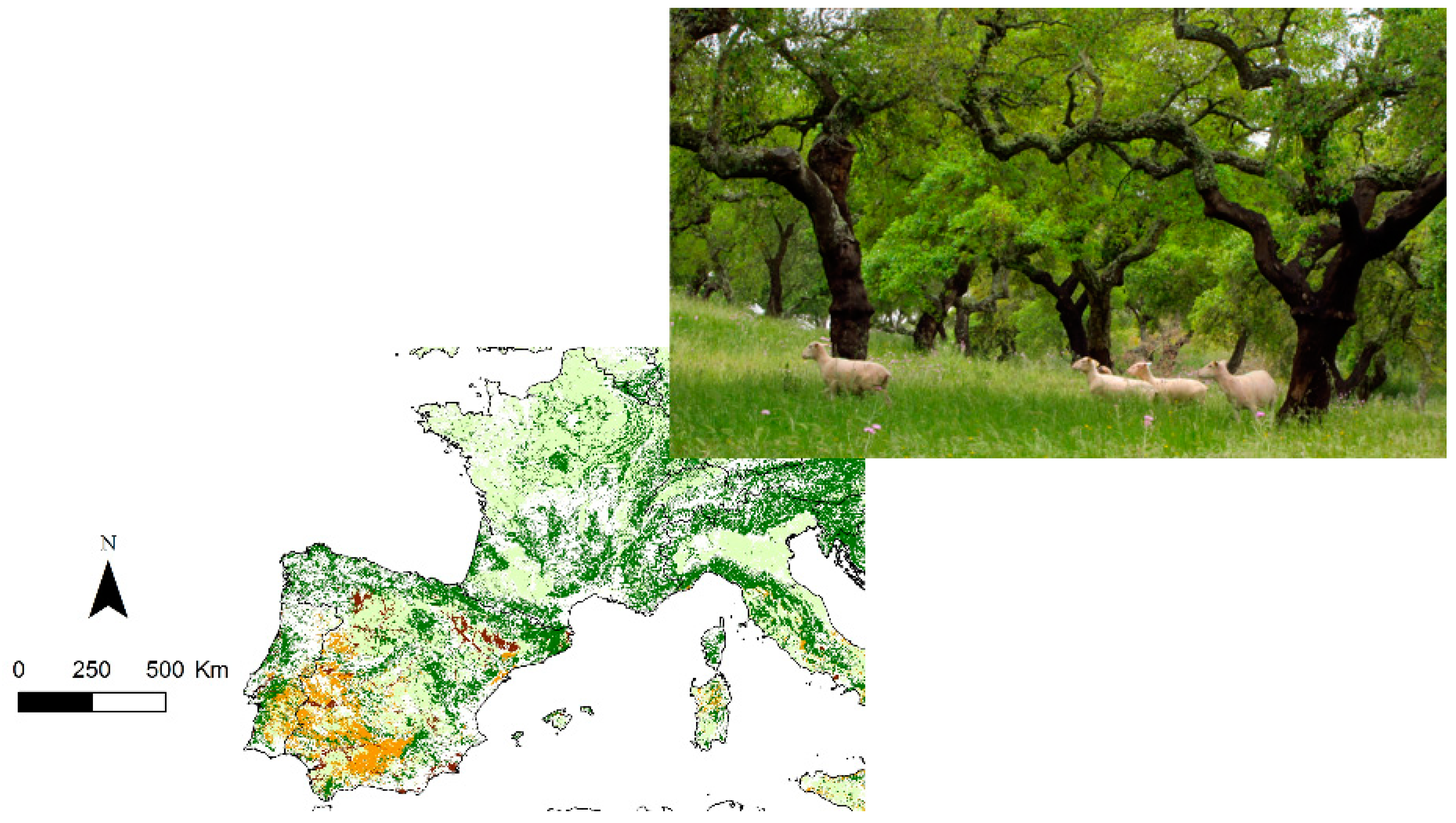 Sustainability 10 03065 g002