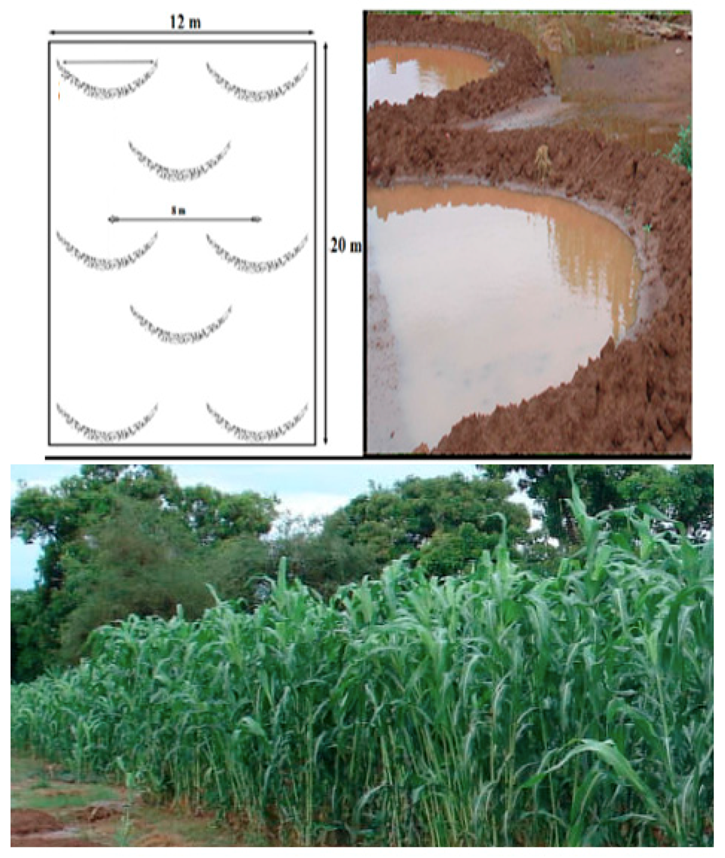 Sustainability 10 03182 g004 Sustainability 10 03182 g004