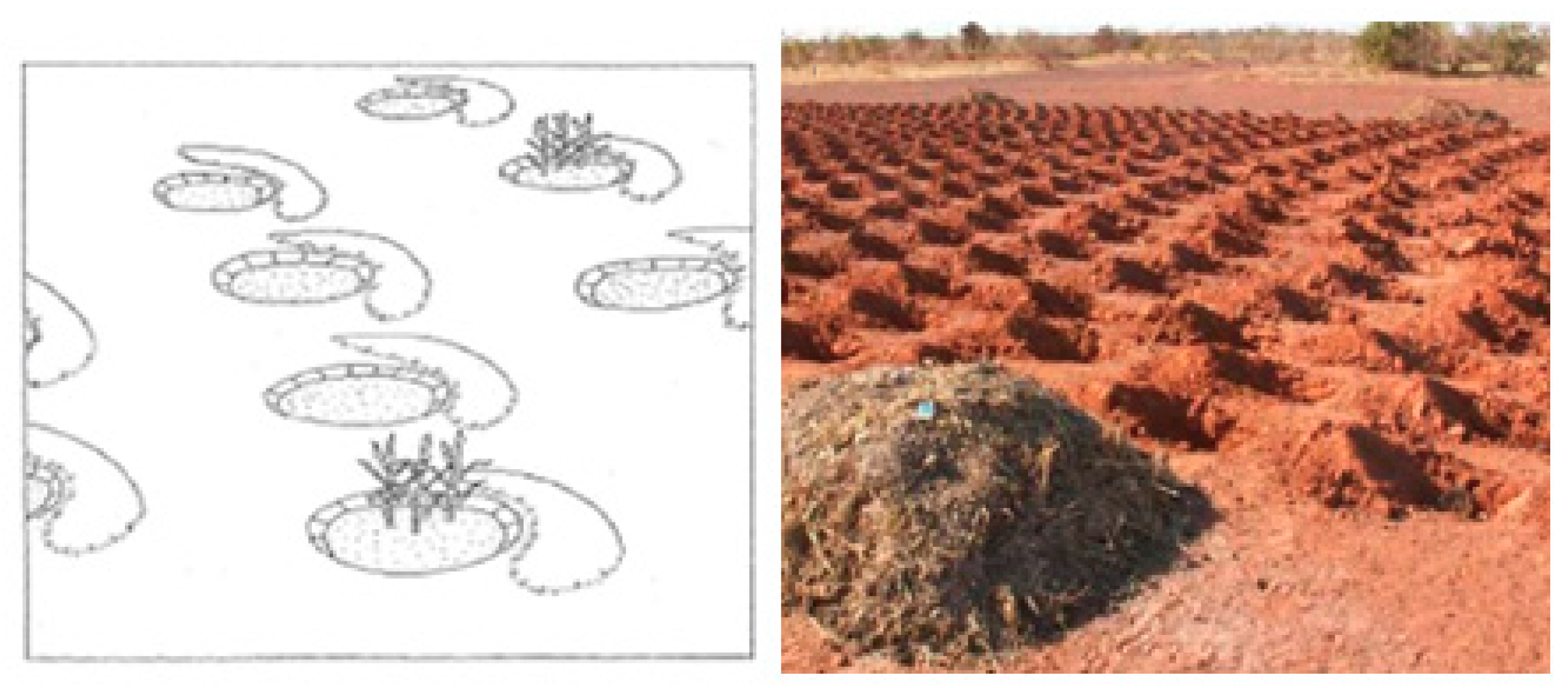 Sustainability 10 03182 g005 Sustainability 10 03182 g005