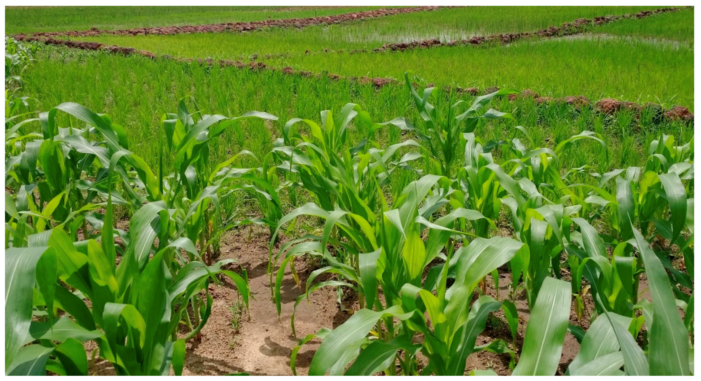 Sustainability 10 03182 g009 Sustainability 10 03182 g009