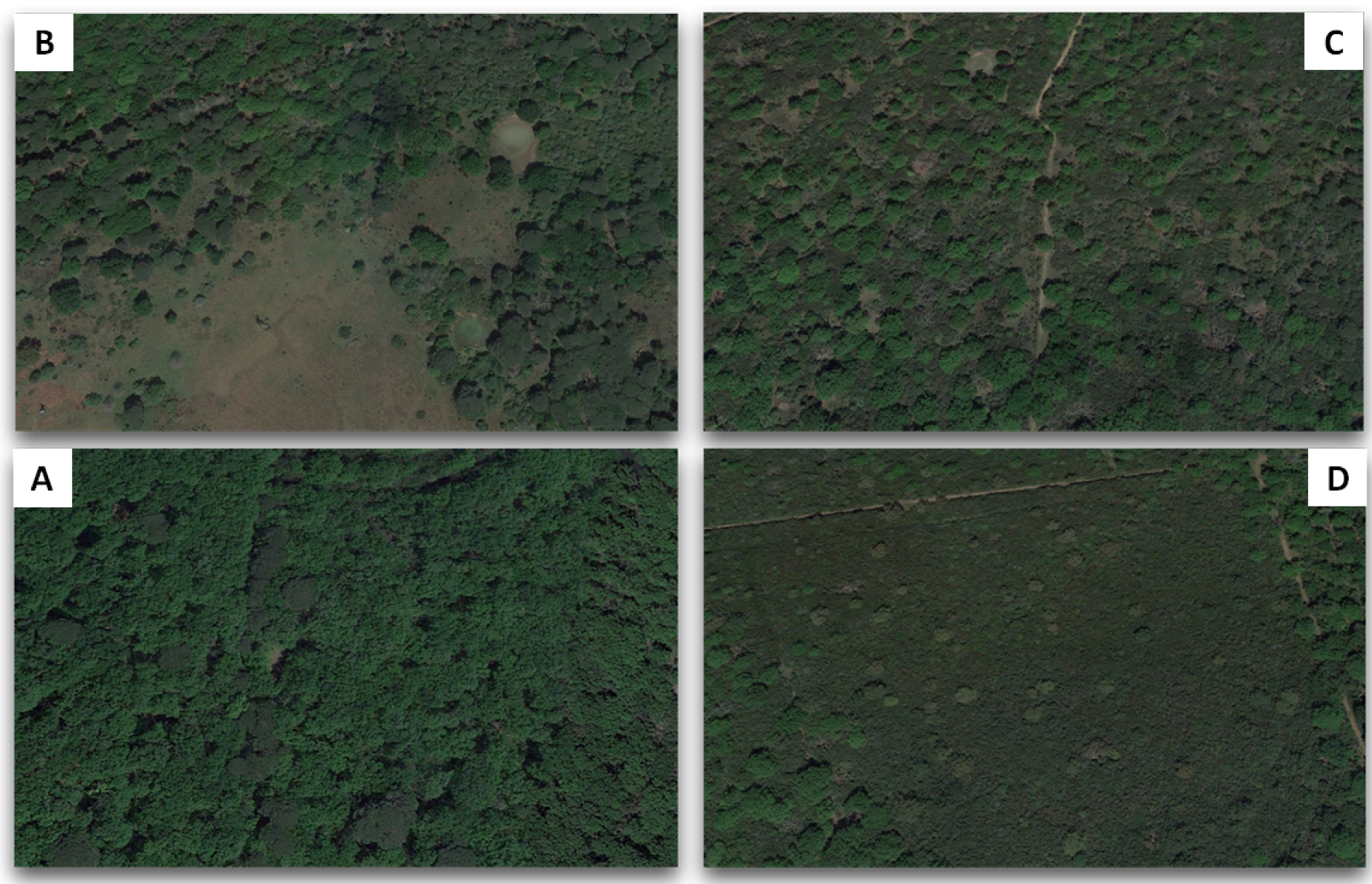 Sustainability 10 03308 g002 550