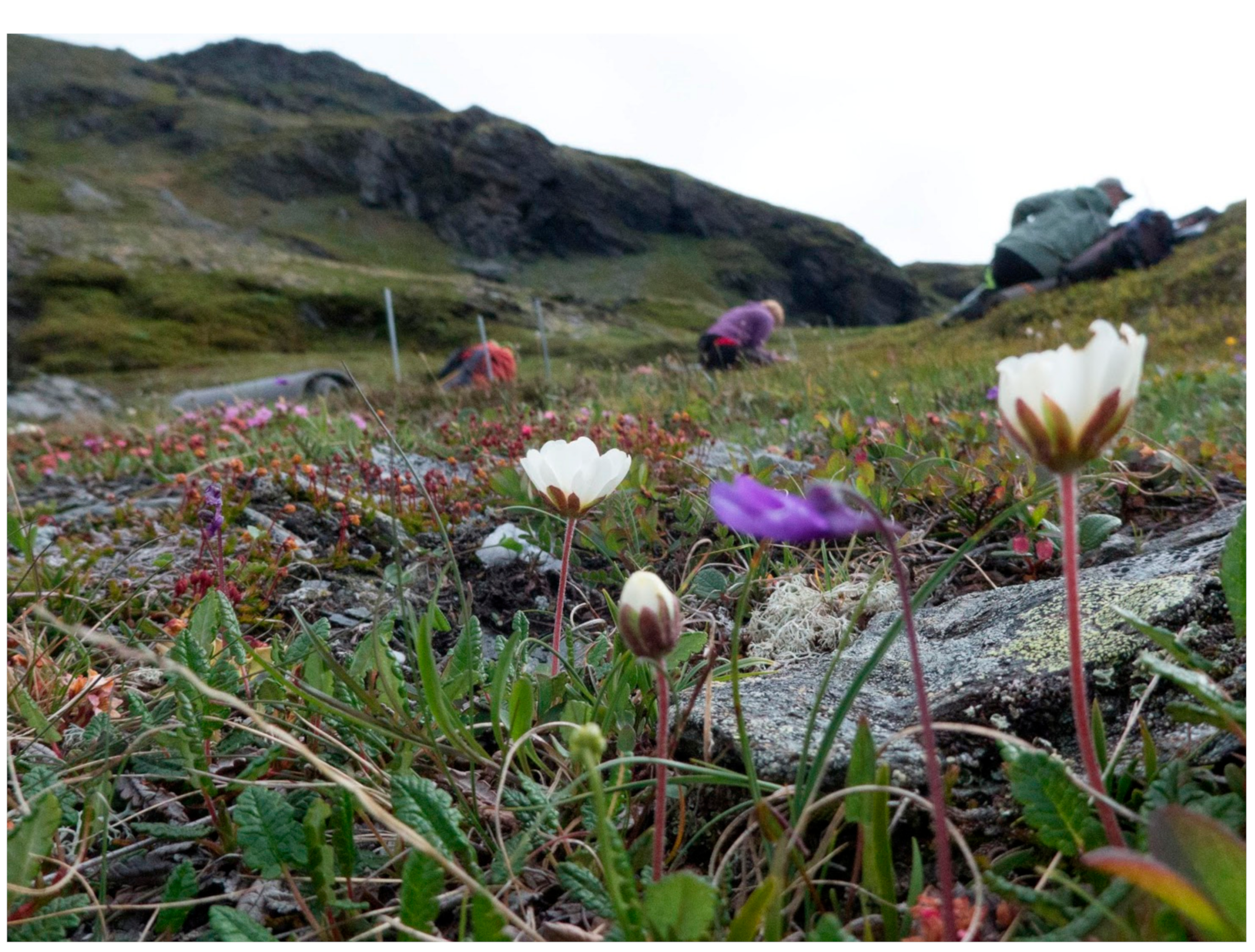 Sustainability 10 03358 g005