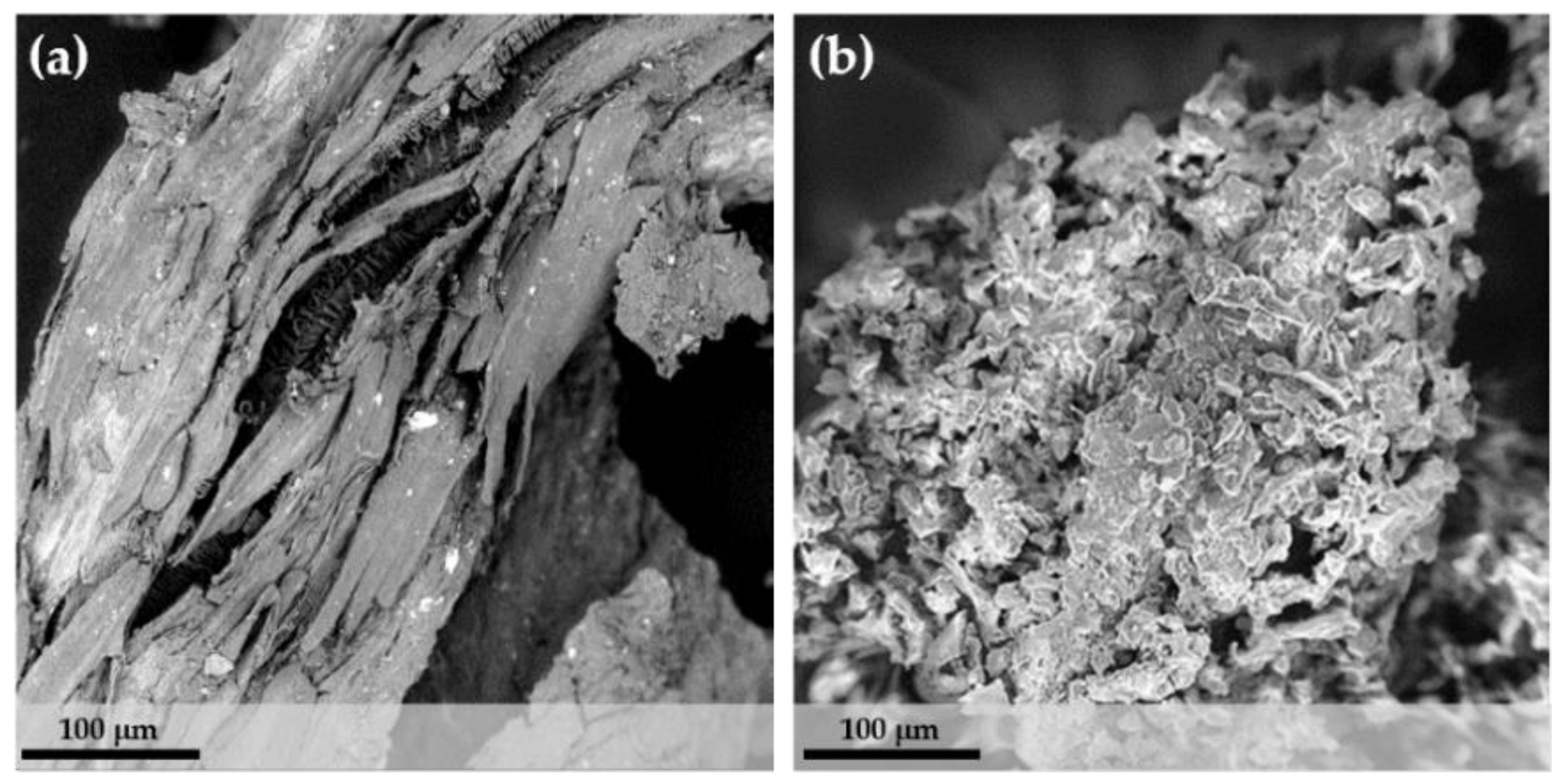Sustainability 10 03547 g002
