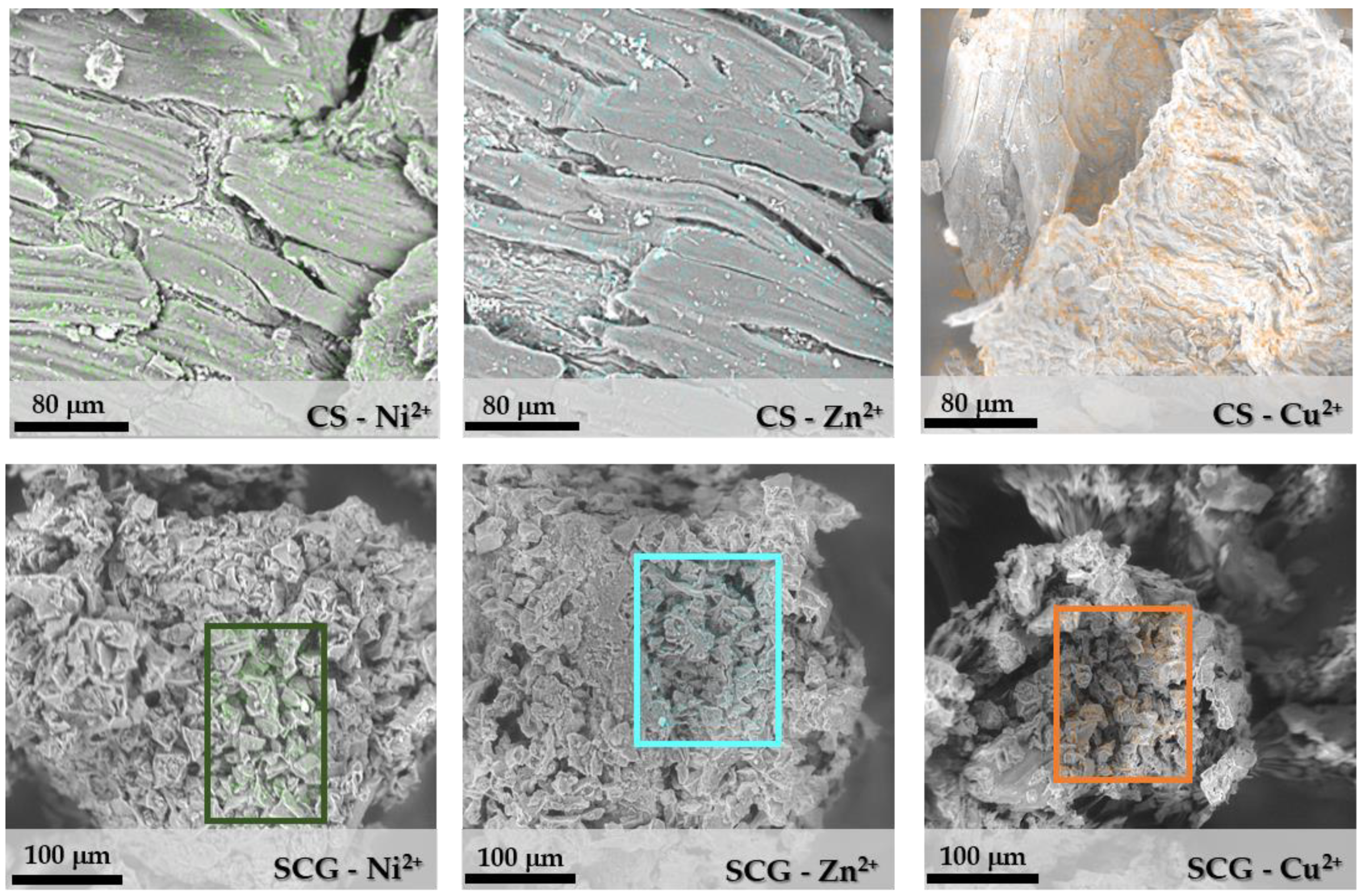 Sustainability 10 03547 g004