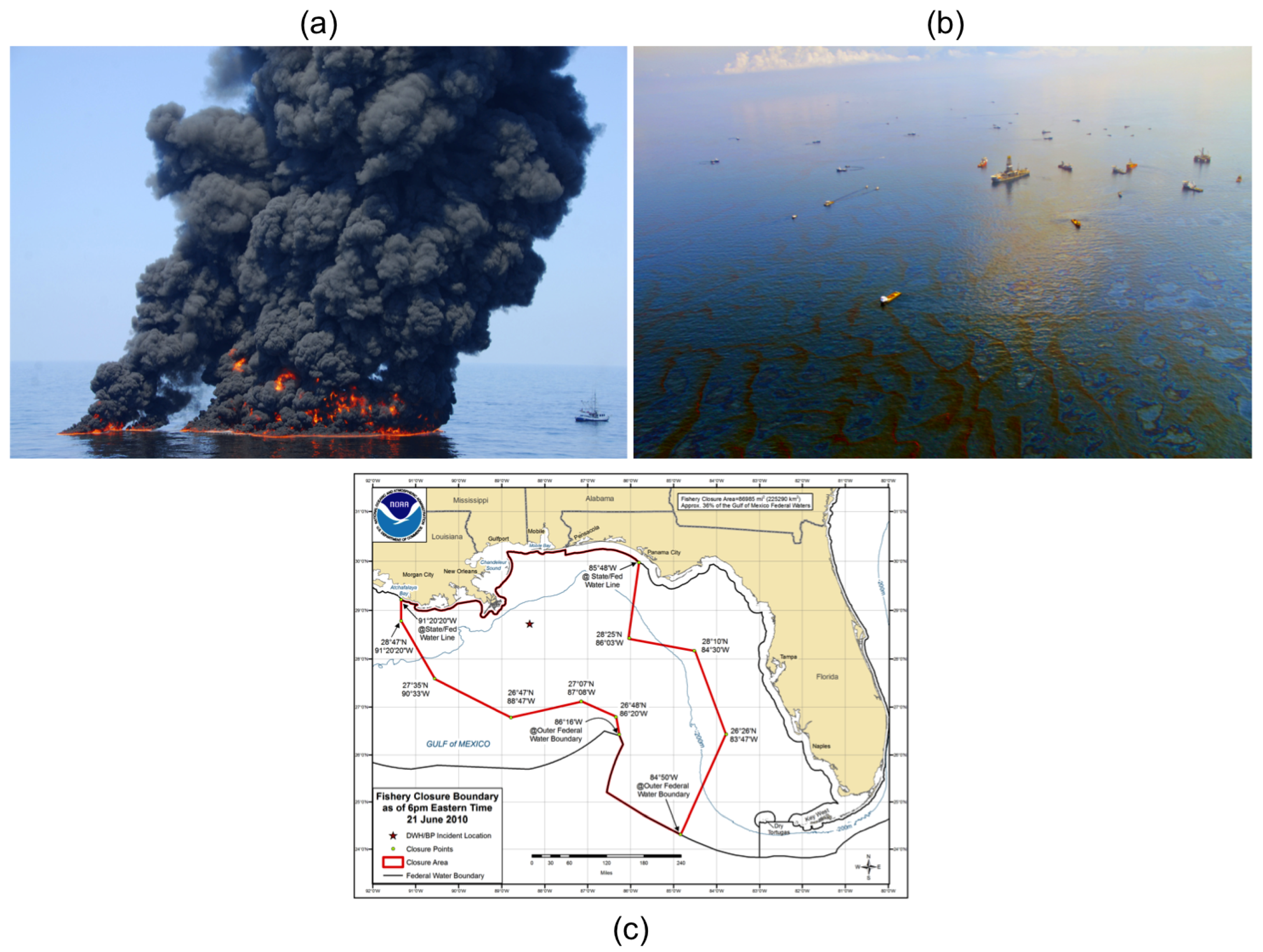 Sustainability 10 03599 g001