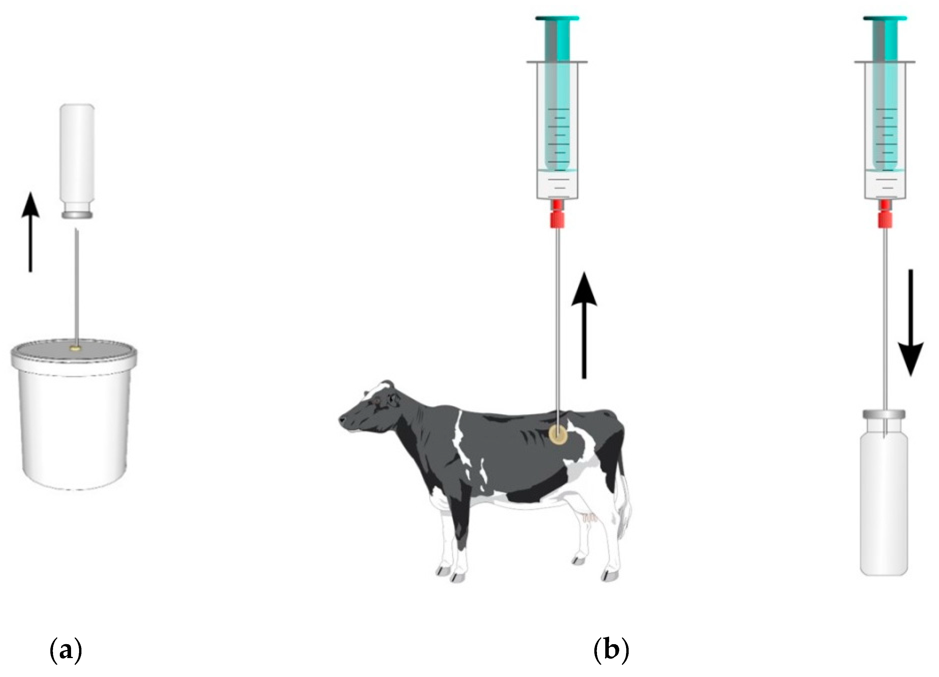 Sustainability 10 03679 g001