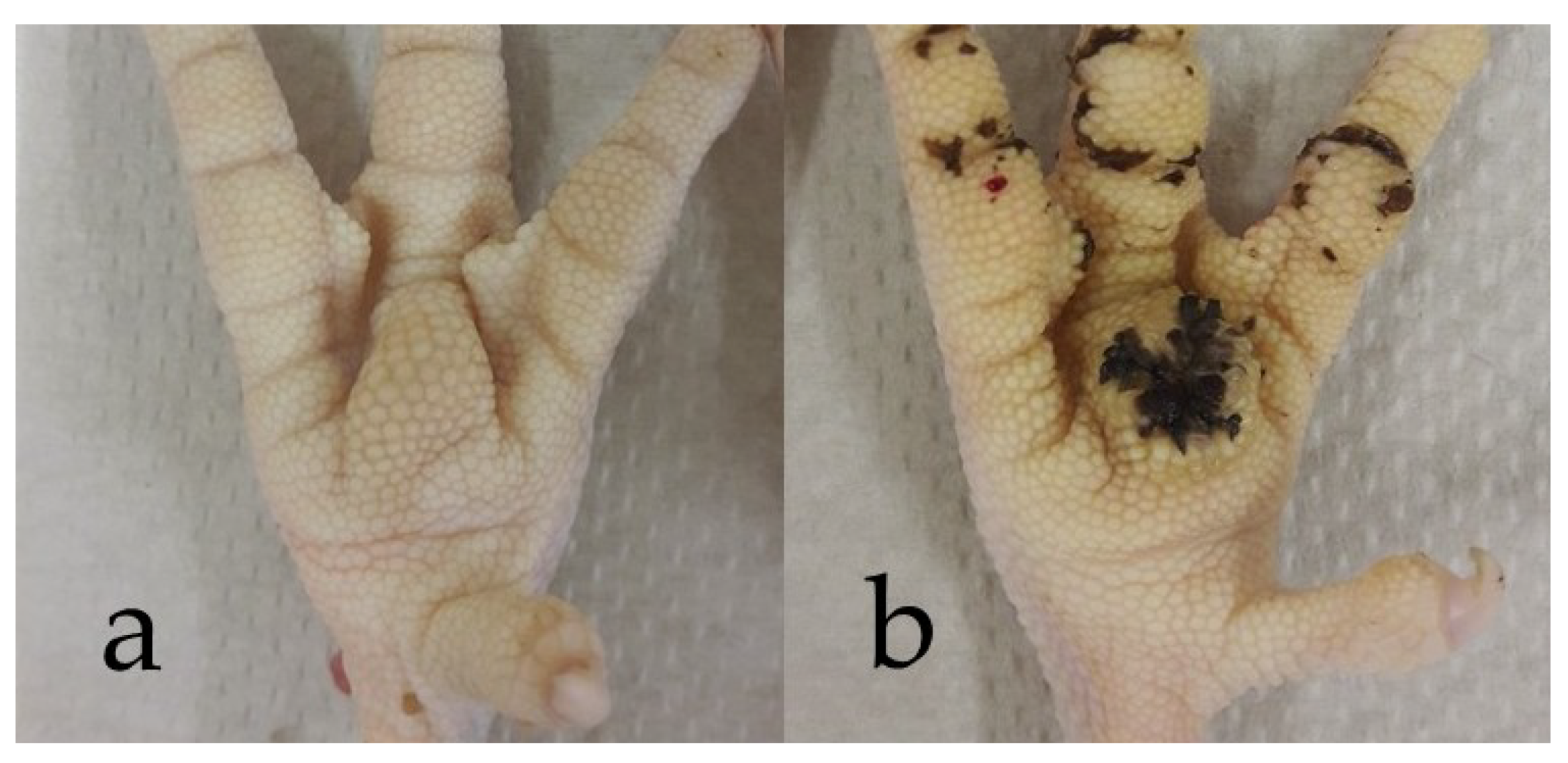 Sustainability 10 03827 g001