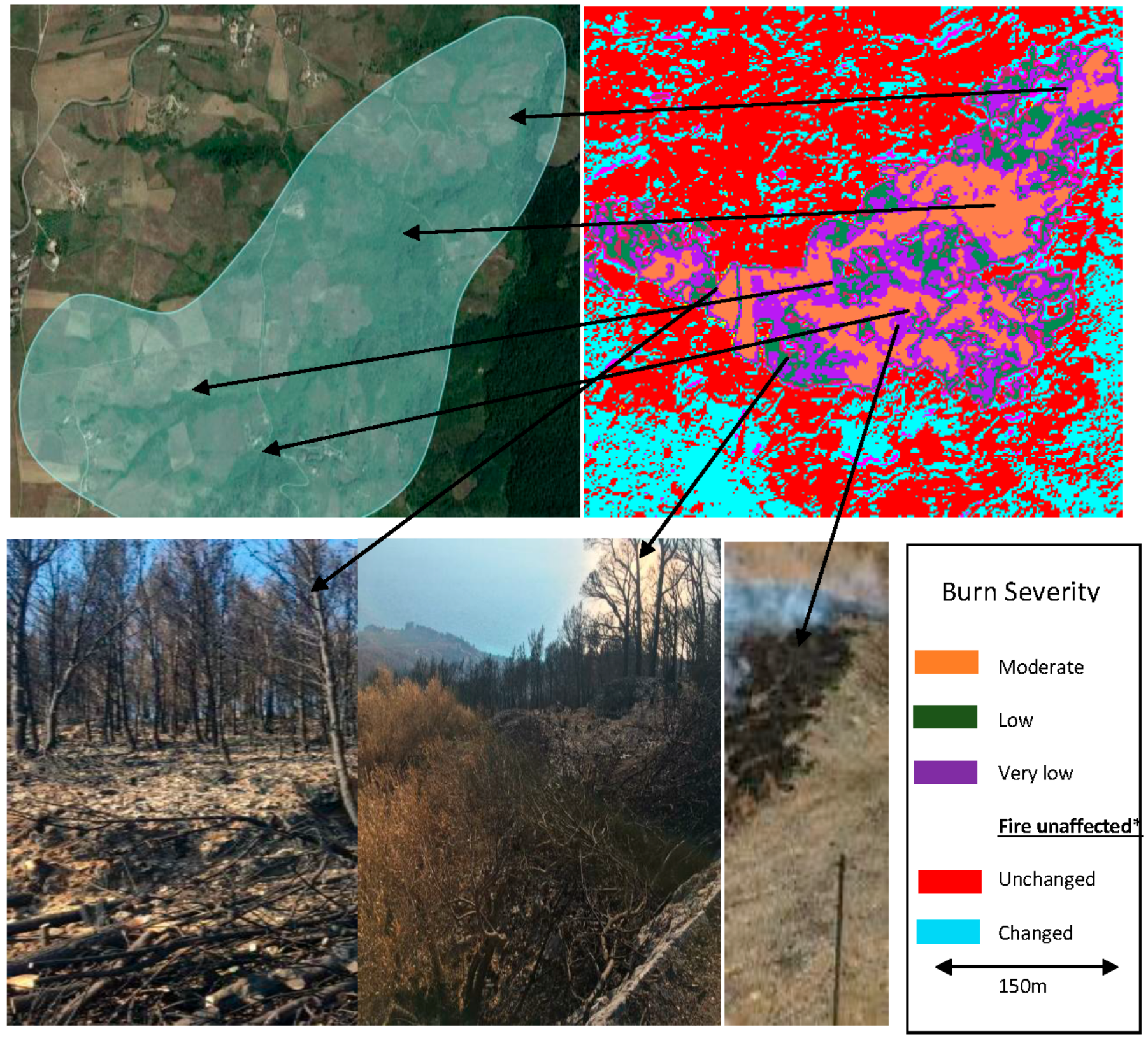 Sustainability 10 03889 g007 Sustainability 10 03889 g007