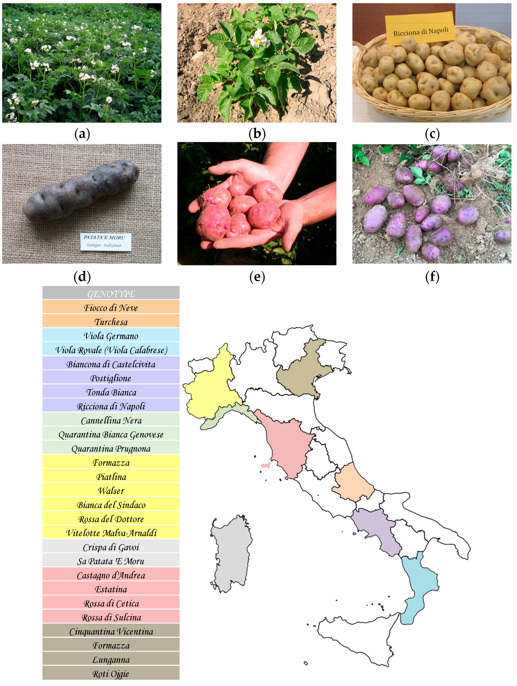 Sustainability 10 03939 g001