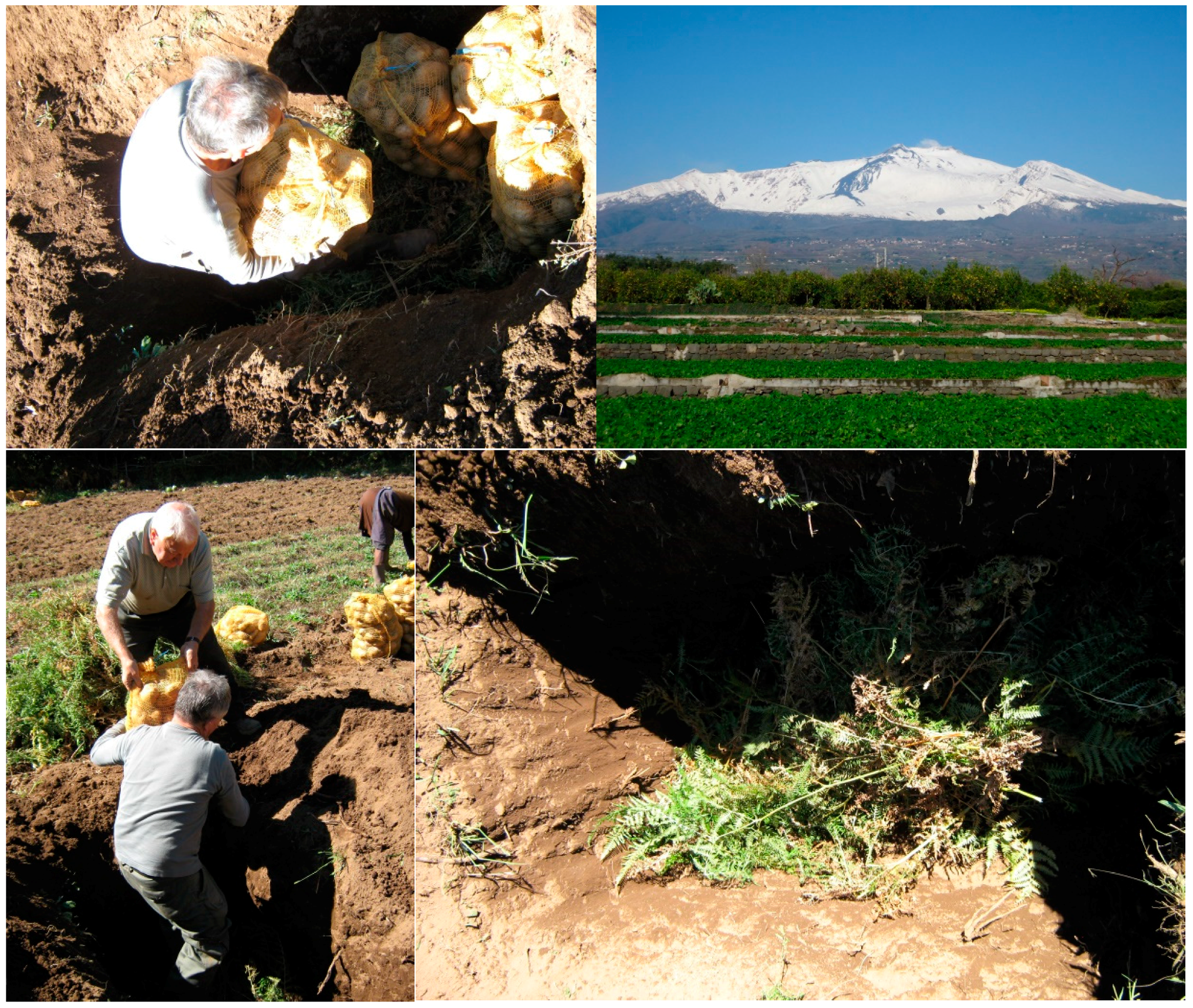 Sustainability 10 03939 g003