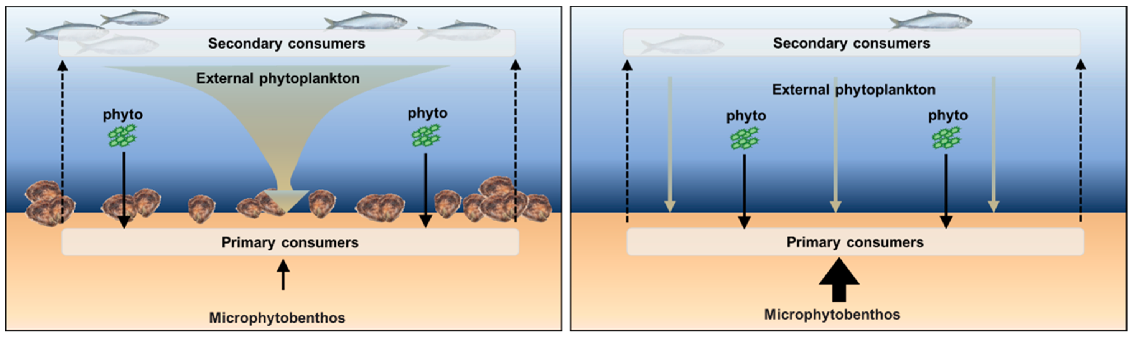 Sustainability 10 03942 g002 Sustainability 10 03942 g002