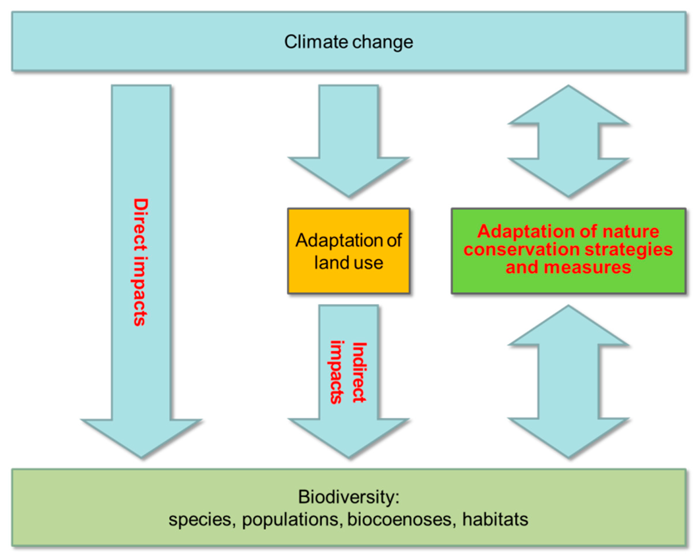 IV. Impact of Climate Change on Wildlife Migration Patterns