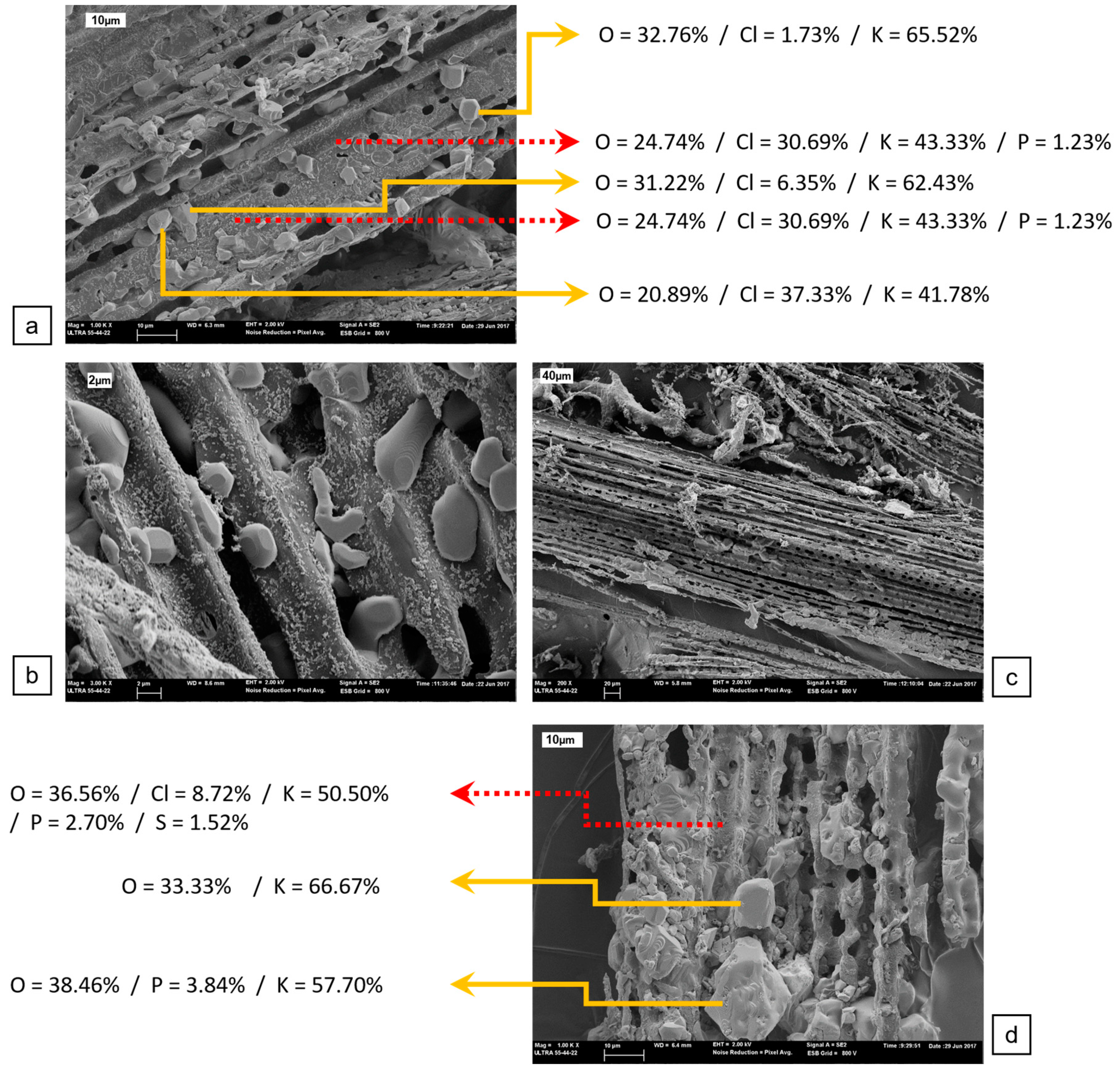 Sustainability 10 04273 g005