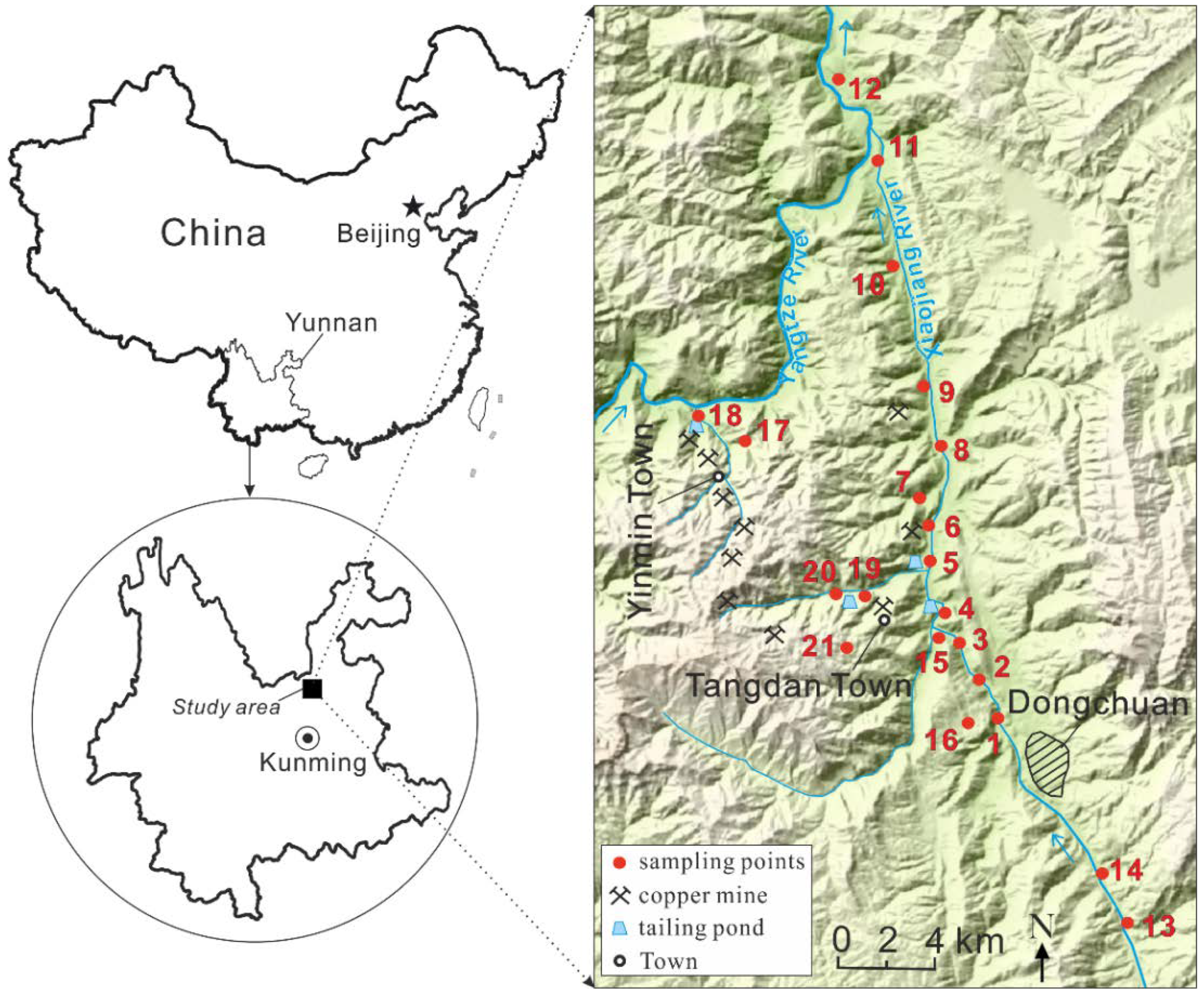 Sustainability 10 04533 g001