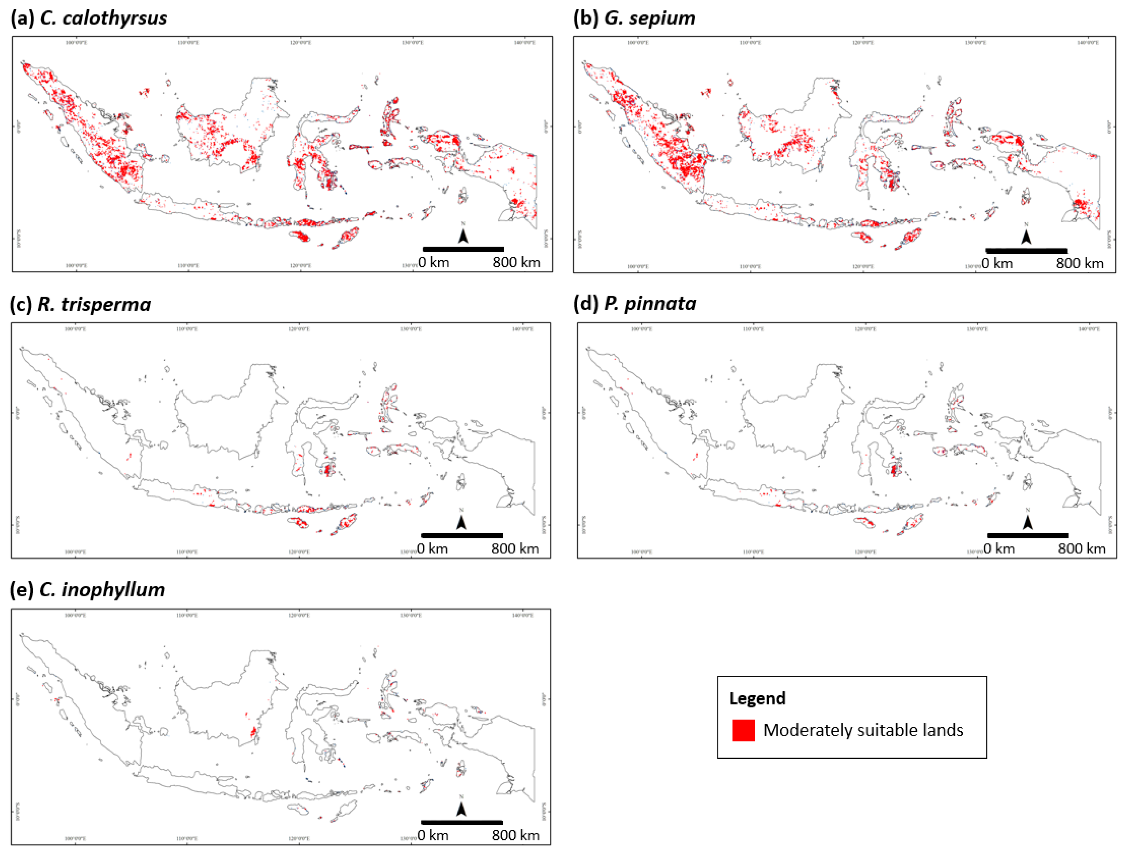 Sustainability 10 04595 g005