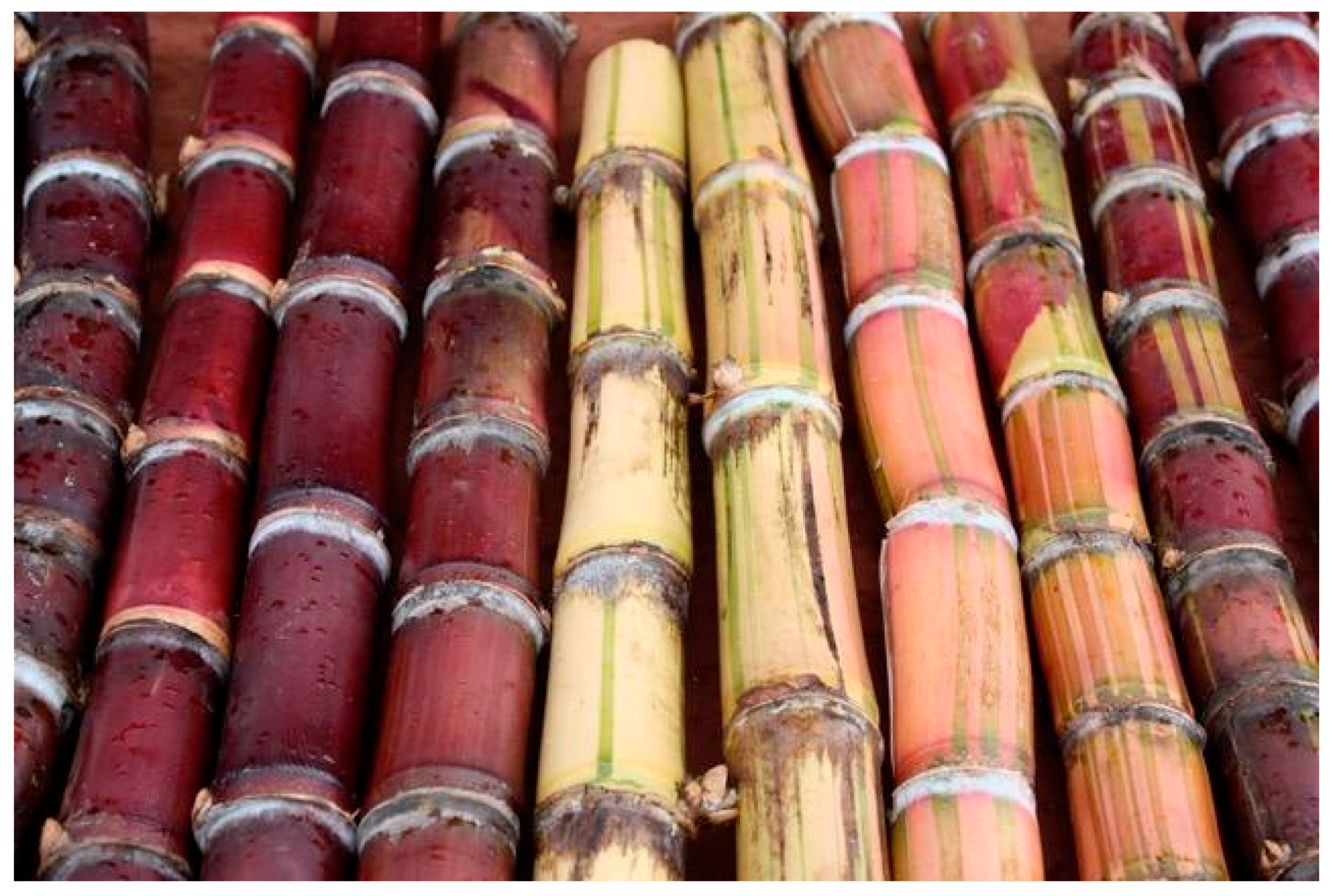 Sustainability 10 04607 g004