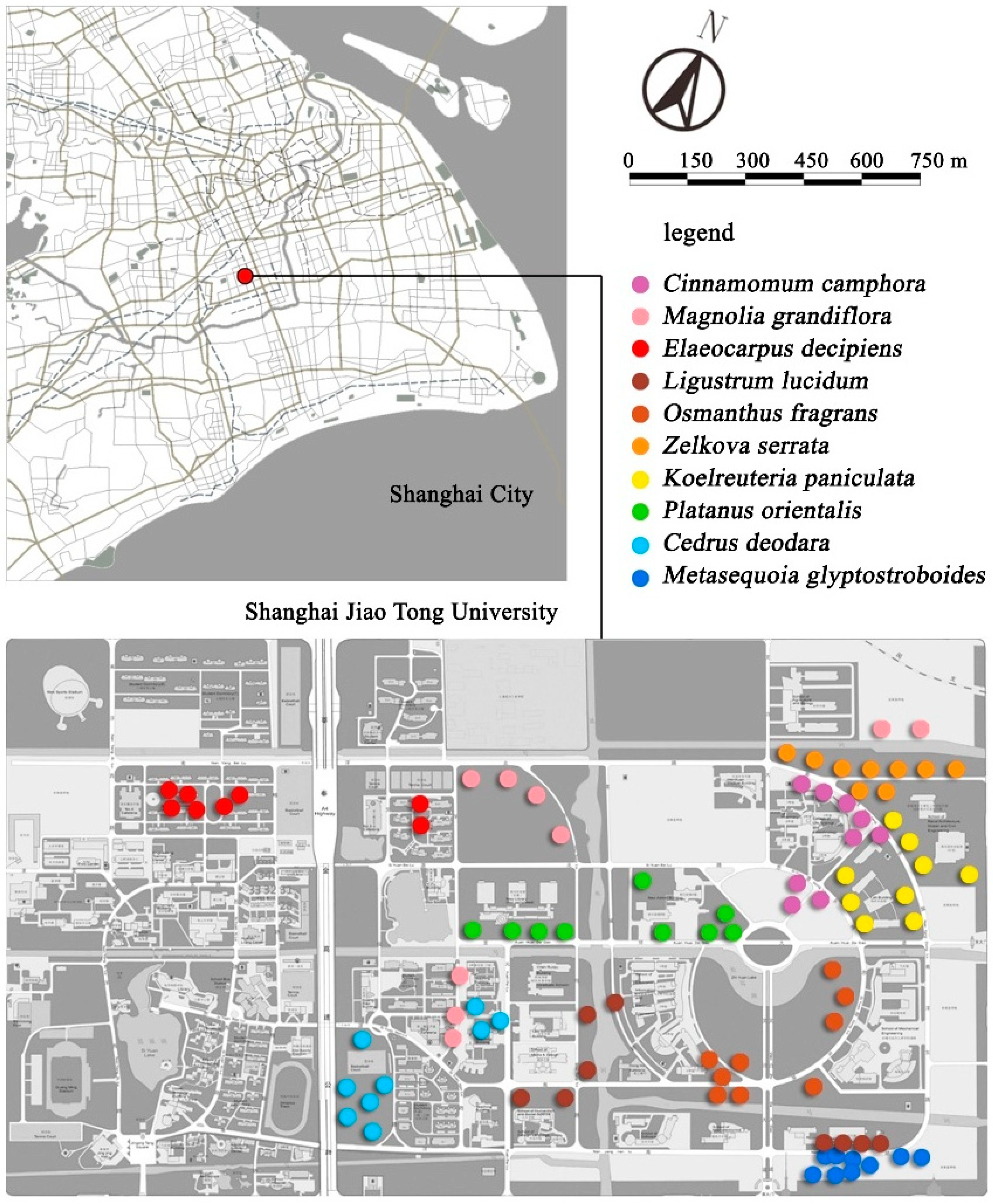 Sustainability 10 04640 g001