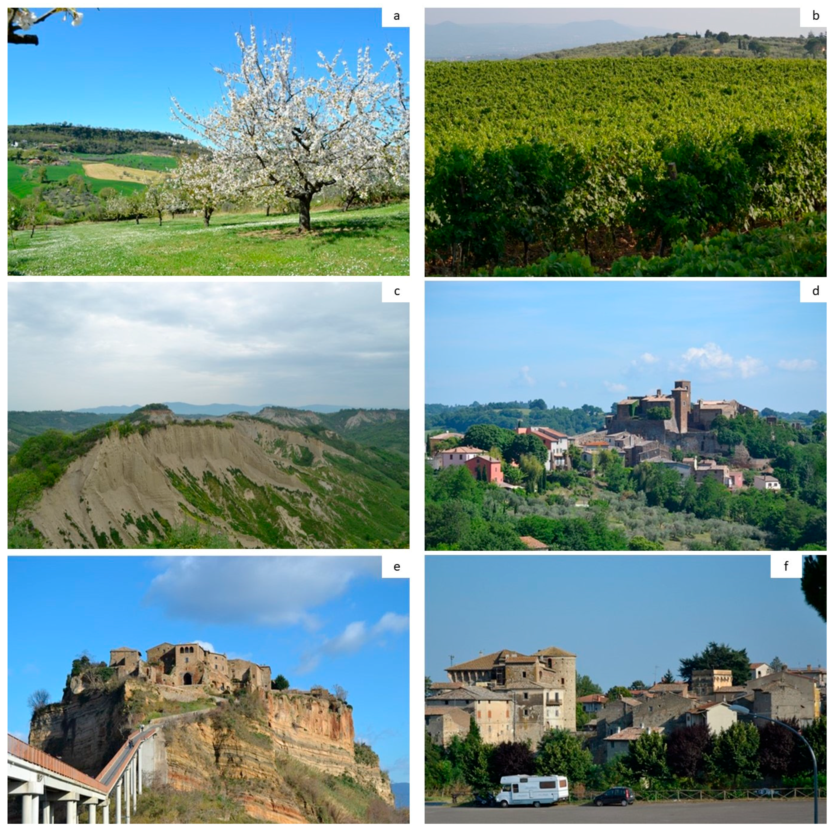 Sustainability 10 04681 g003 Sustainability 10 04681 g003