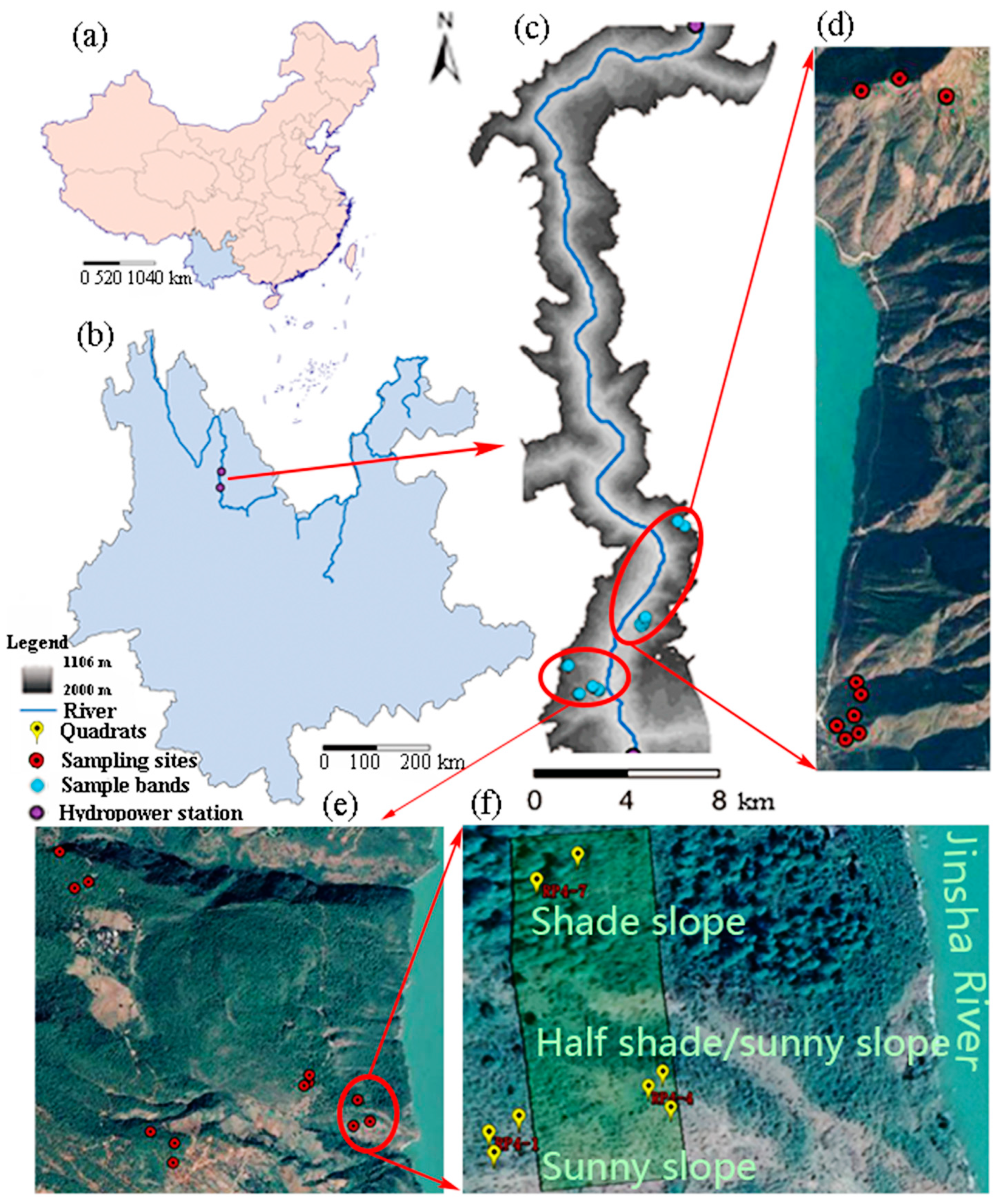 Sustainability 10 04774 g001 Sustainability 10 04774 g001