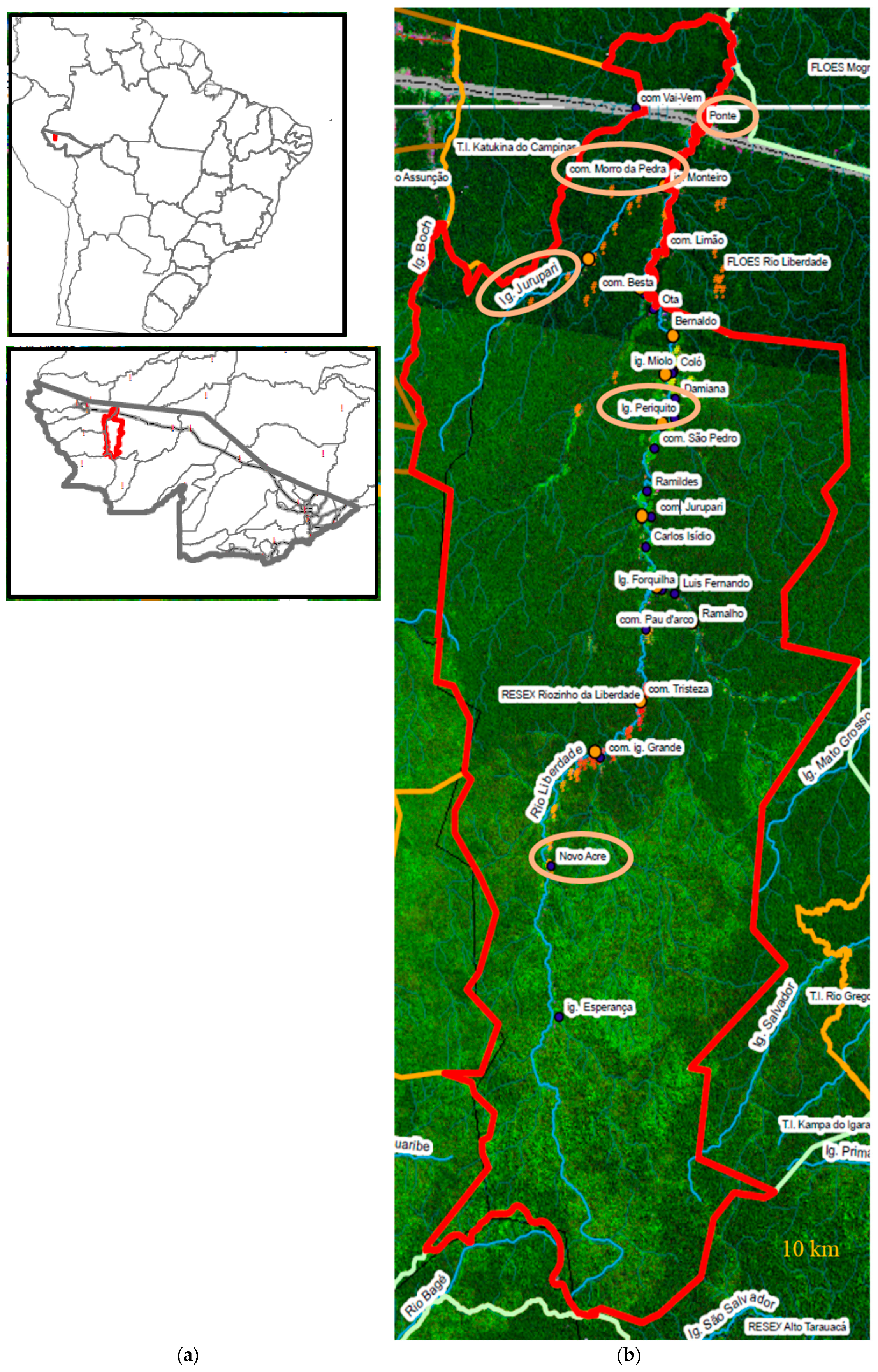 Sustainability Free Full Text Conserving Biocultural Diversity Through Community Government Interaction A Practice Based Approach In A Brazilian Extractive Reserve Html