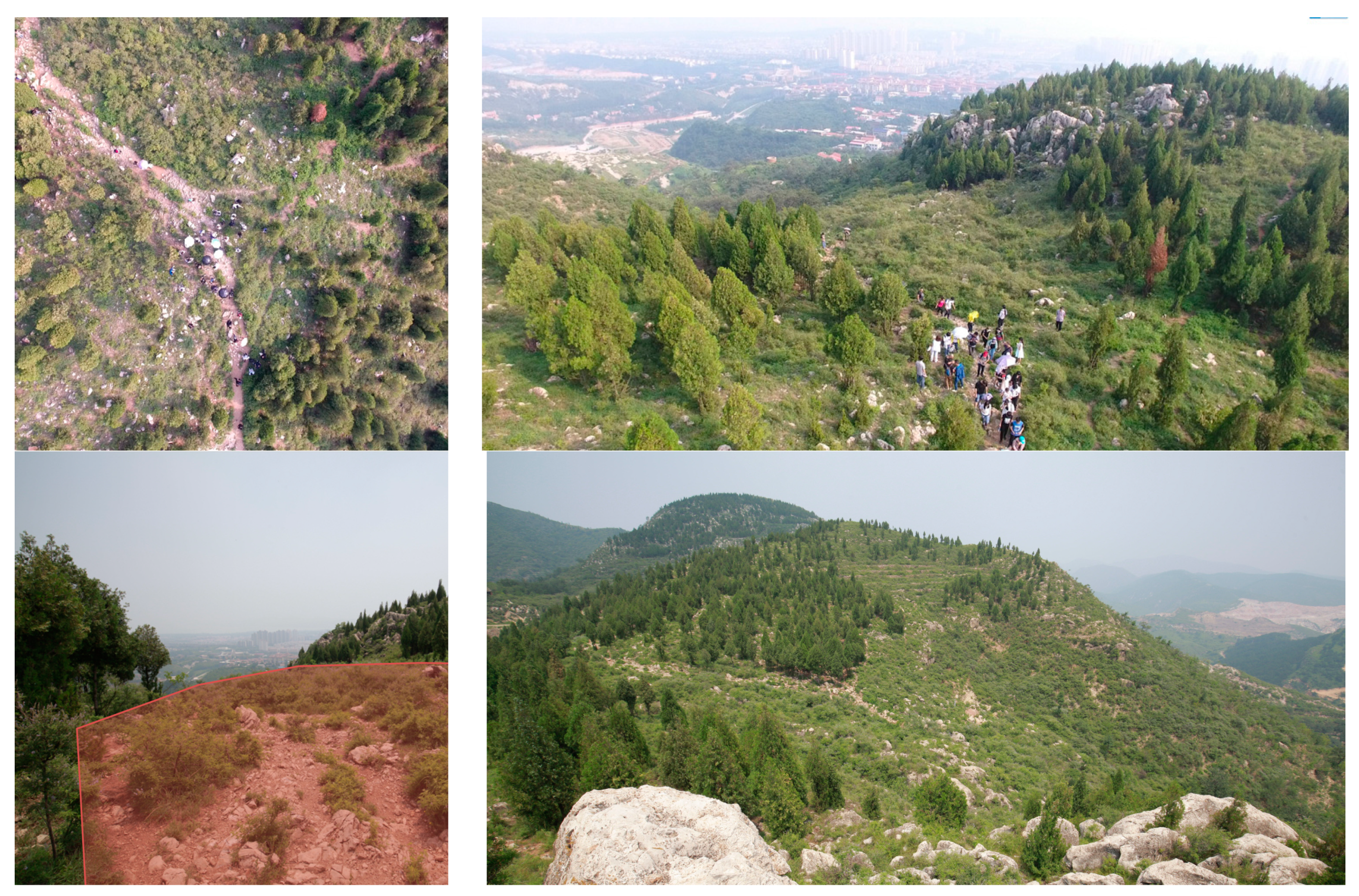 Sustainability 11 00128 g006 550