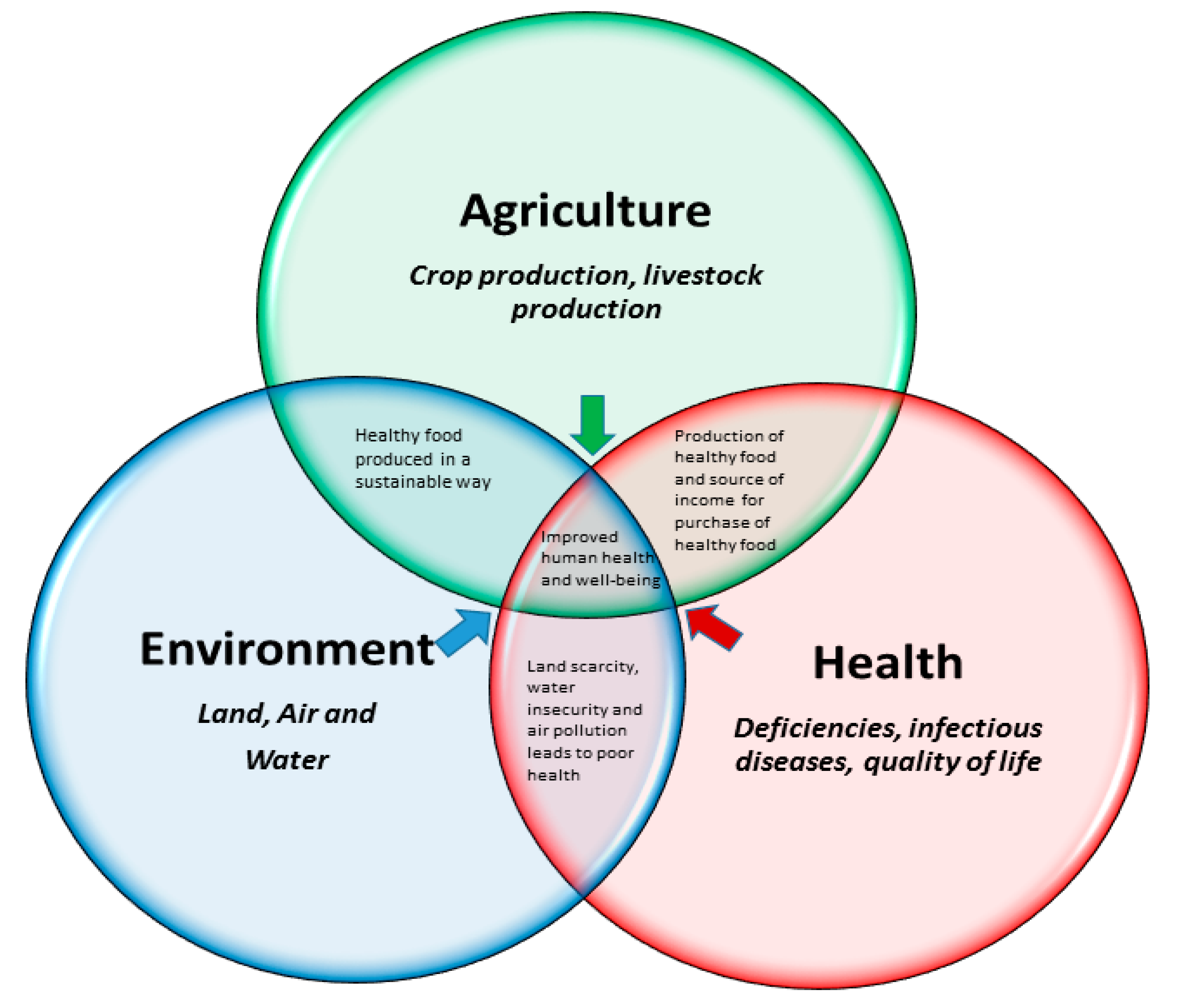 Sustainability 11 00172 g004 Sustainability 11 00172 g004