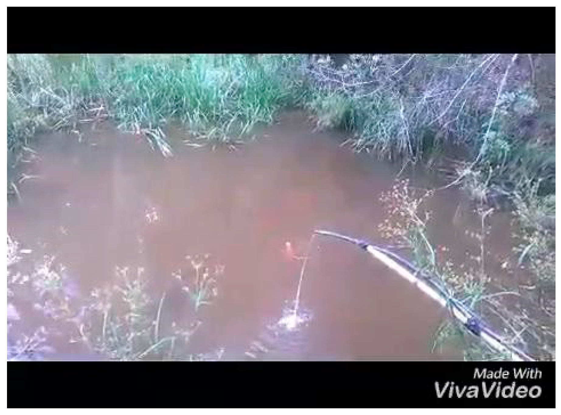 Sustainability 11 00197 g004